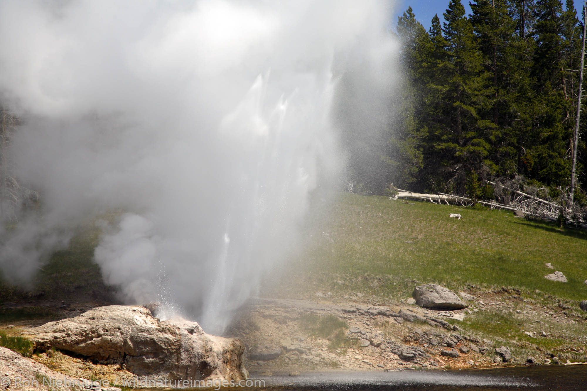 Riverside Geyser Photos by Ron Niebrugge