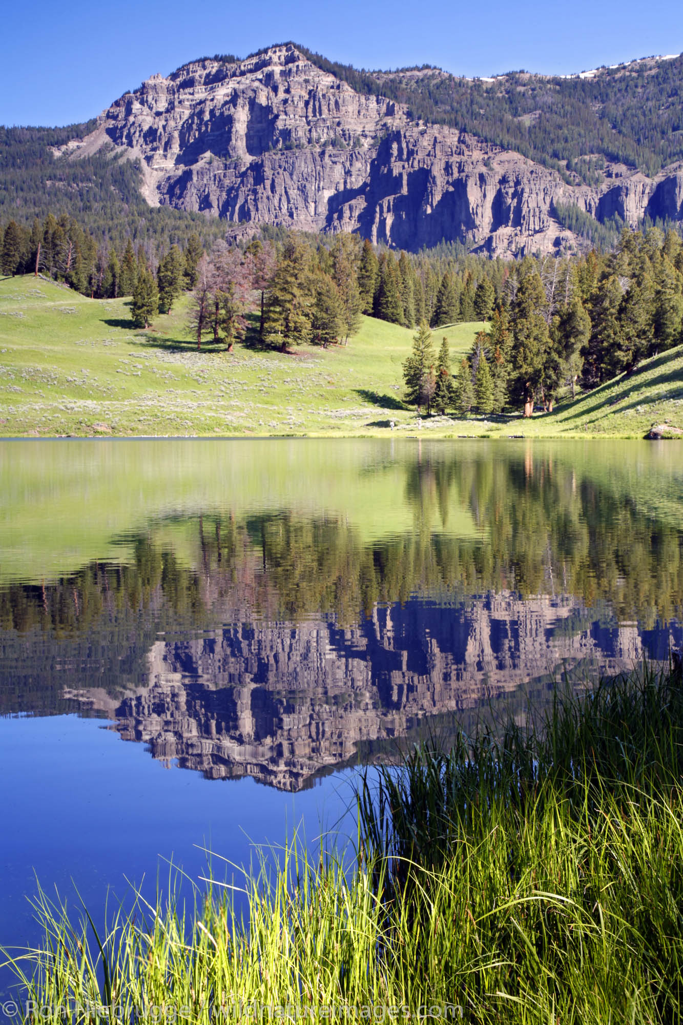 Trout Lake, Yellowstone National Park, Wyoming.