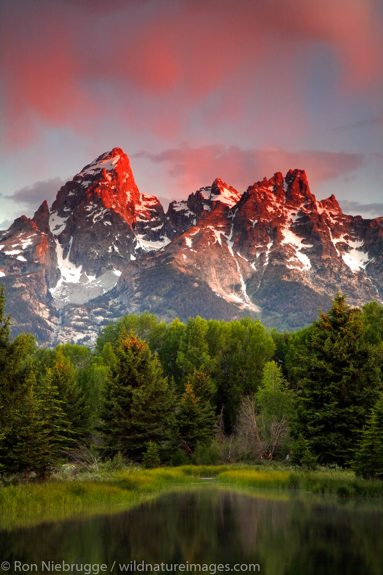 The Teton Range from Schwabacher Landing, Grand Teton National Park, Wyoming.