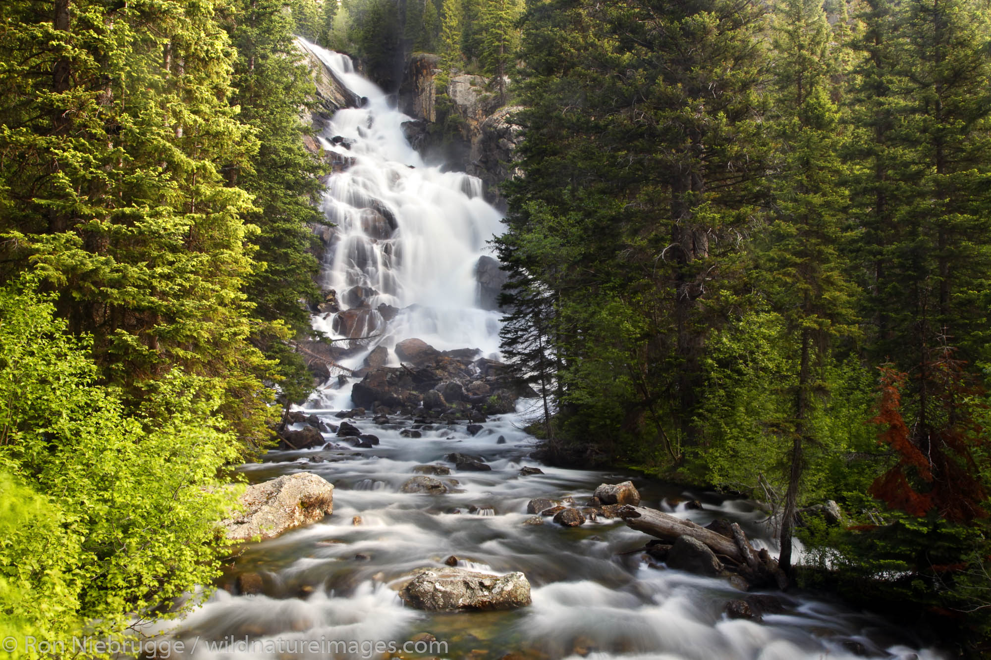 Hidden Falls on Cascade Creek from the Hidden Falls Trail, Grand Teton National Park, Wyoming.