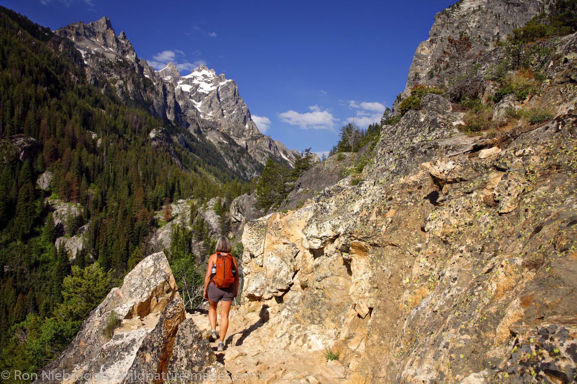 A hiker on the Cascade Canyon Trail, Grand Teton National Park, Wyoming. (MR)