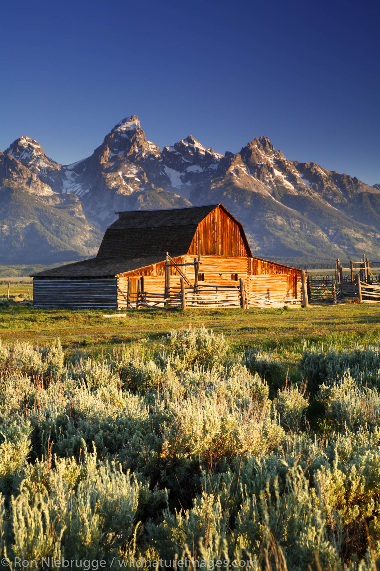 Barn on Mormon Row, Grand Teton National Park, Wyoming.