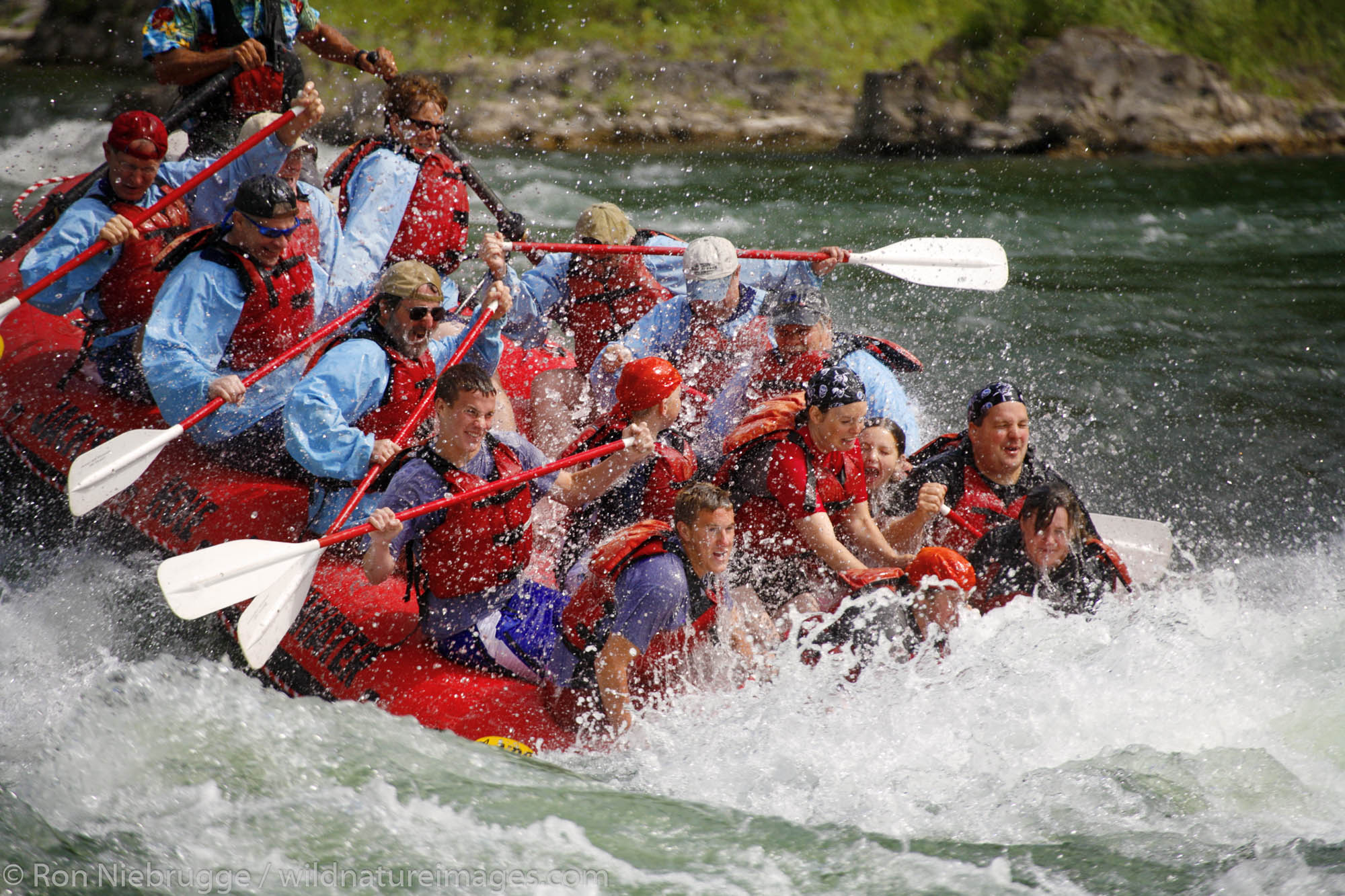 Whitewater rafting on the Snake River, near Jackson, Wyoming.