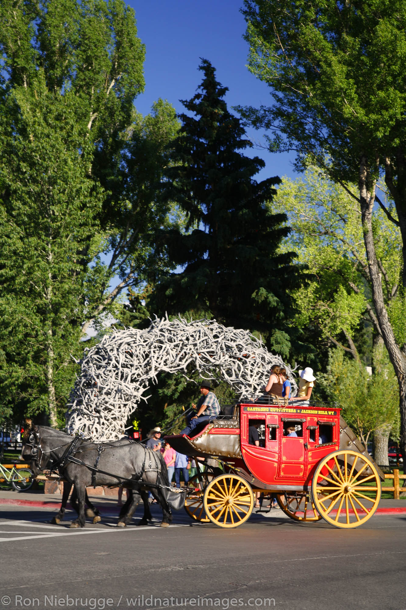 A stagecoach passes by the elk antler arch, downtown Jackson, near Grand Teton National Park, Wyoming.