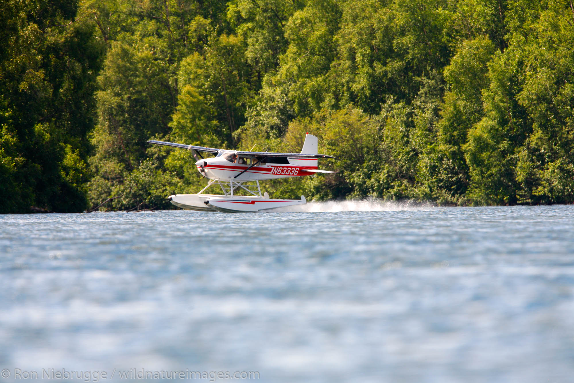 Float plane landing at Finger Lake, Wasilla, Alaska.