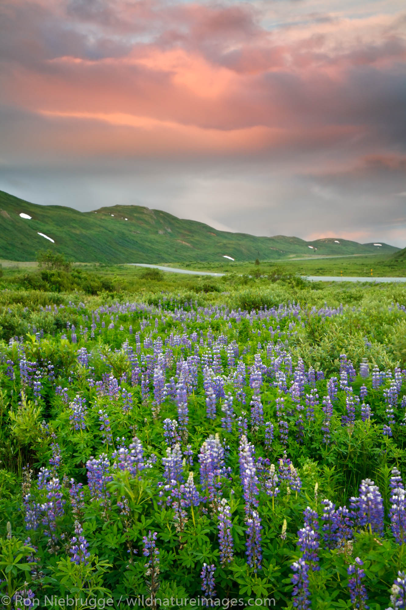 Tatshenshini-Alsek Wilderness Provincial Park along the Haines Highway, British Columbia, Canada.