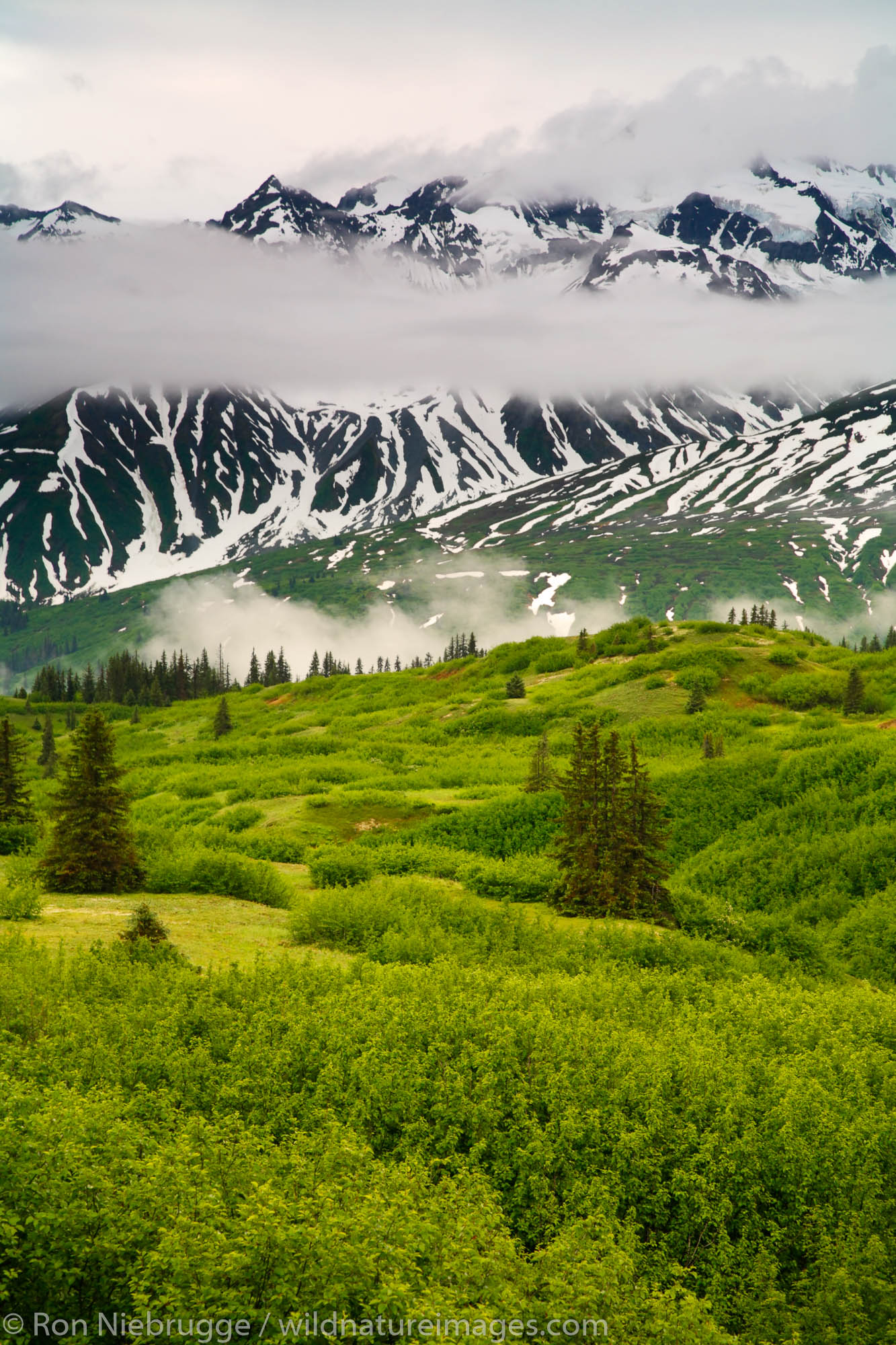 Tatshenshini-Alsek Wilderness Provincial Park along the Haines Highway, British Columbia, Canada