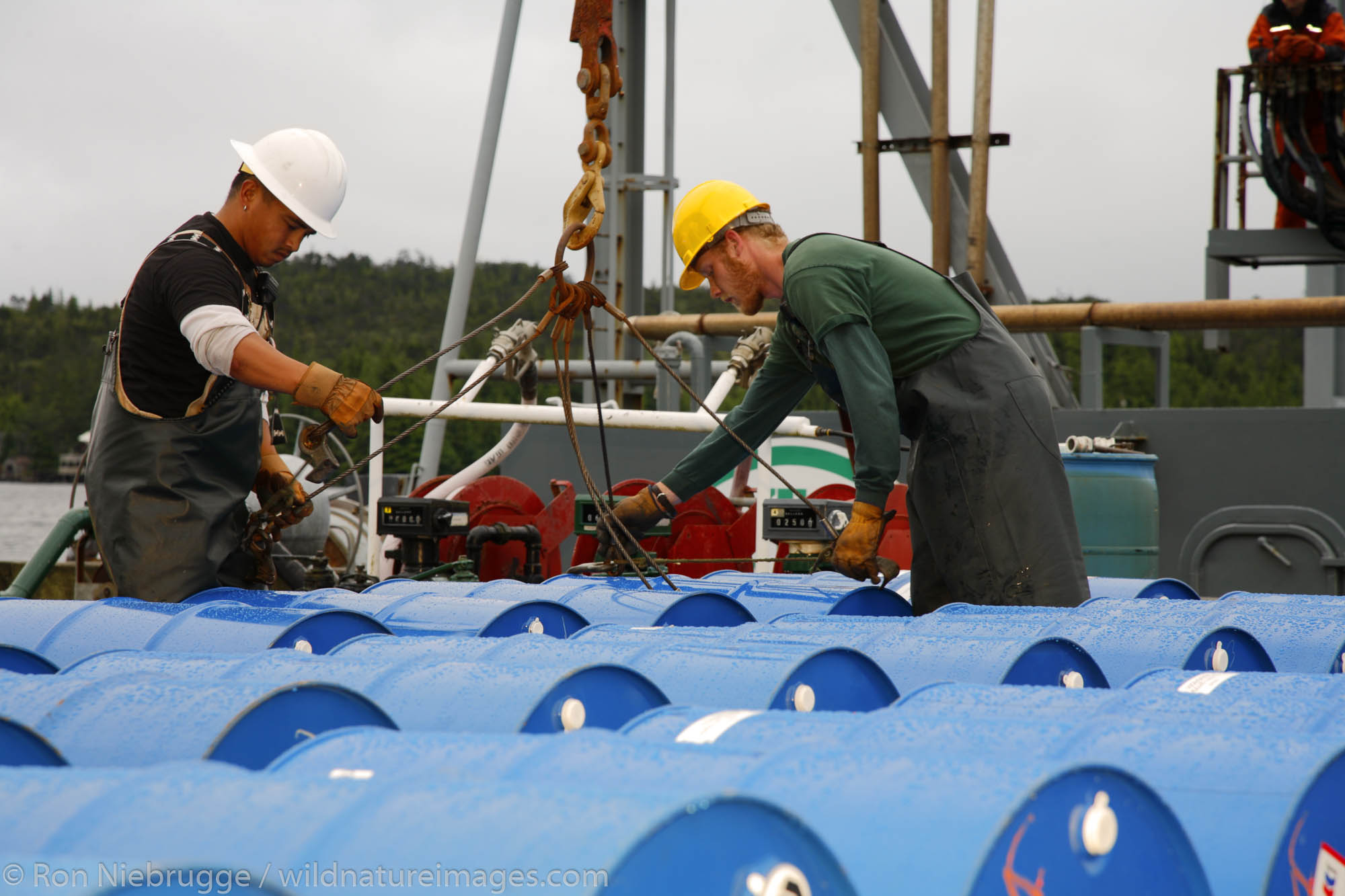 Loading drums onto the 230 barge, Petro Marine Services, Ketchikan, Alaska.