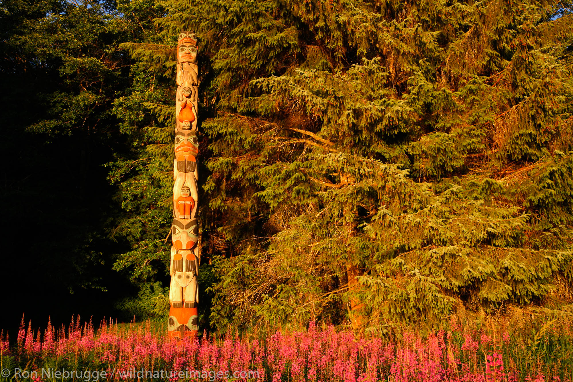 The Land Otter Pole (pole 7), Totem Bight State Historical Park, Ketchikan, Alaska