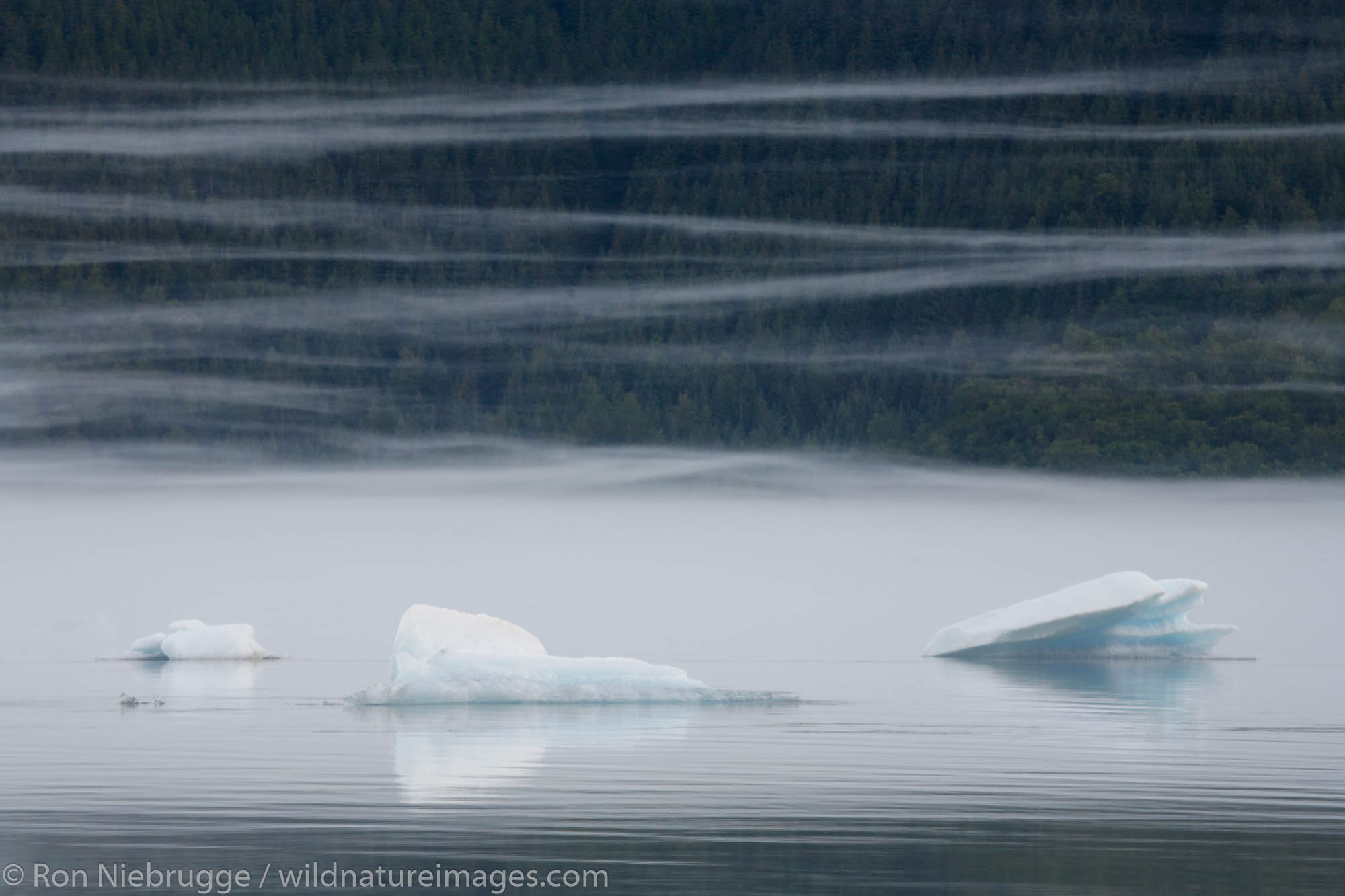 Fog and icebergs on Mendenhall Lake near Juneau, Alaska.