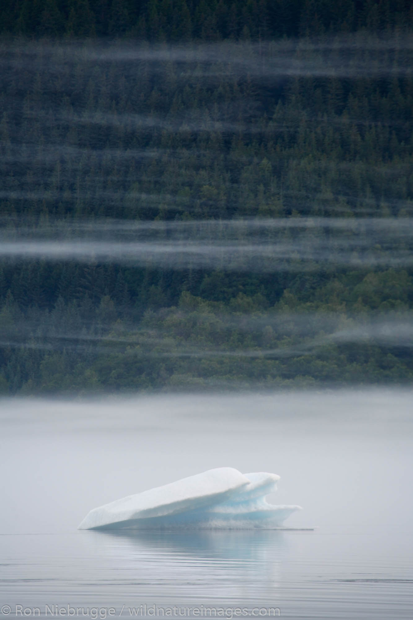Fog and icebergs on Mendenhall Lake near Juneau, Alaska.