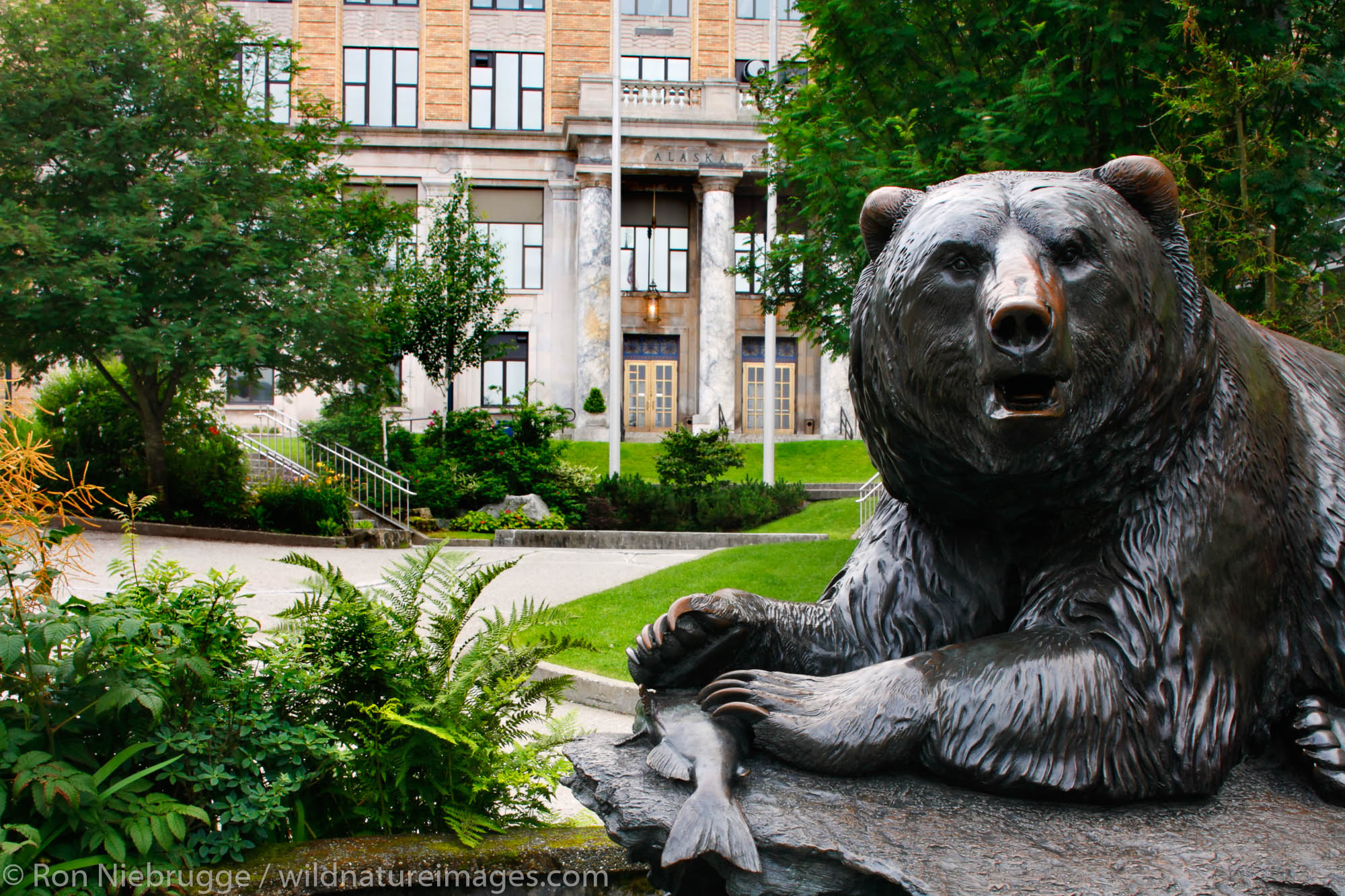 A bear statue in front of the Alaska State Capitol building, Downtown Juneau, Alaska.