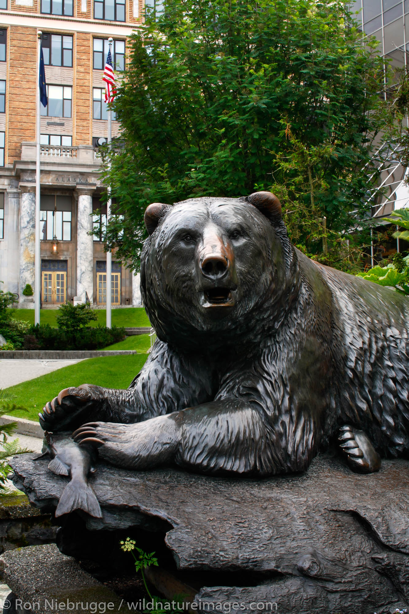 A bear statue in front of the Alaska State Capitol building, Downtown Juneau, Alaska.