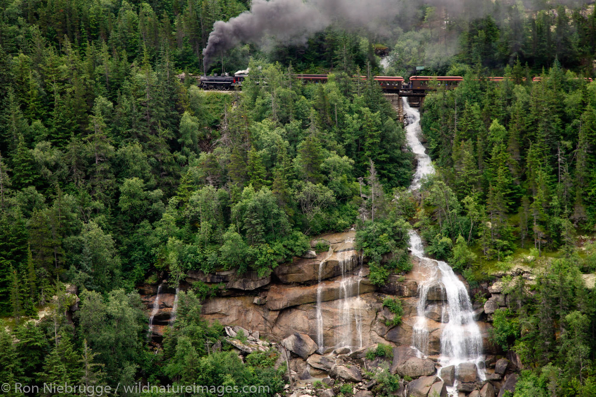 The historic steam engine number 73 and the White Pass and Yukon Route railroad from Skagway, Alaska.