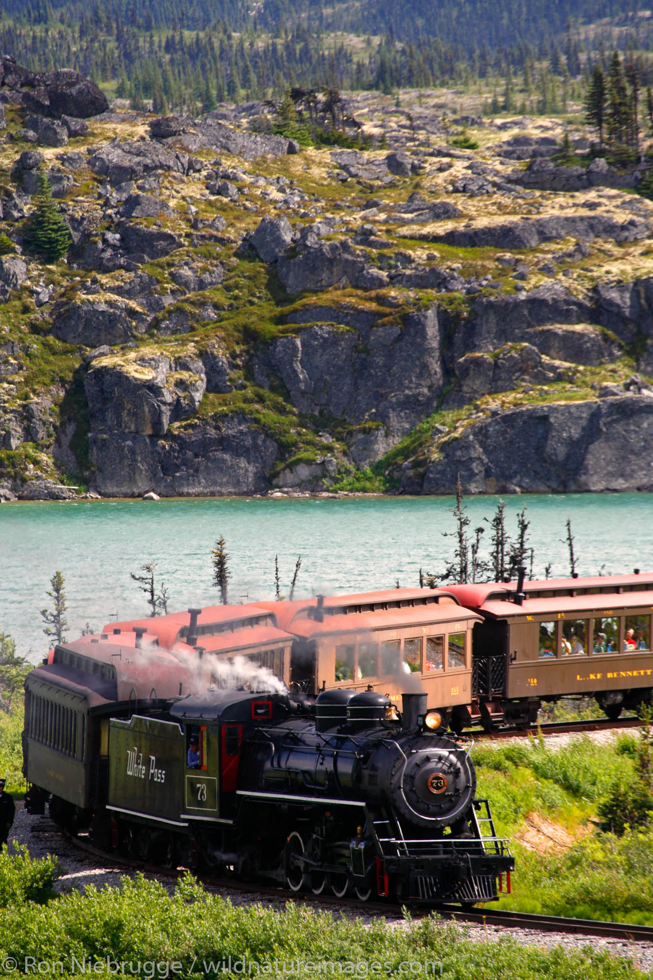 The historic steam engine number 73 of the White Pass and Yukon Route railroad passing through White Pass, British Columbia...