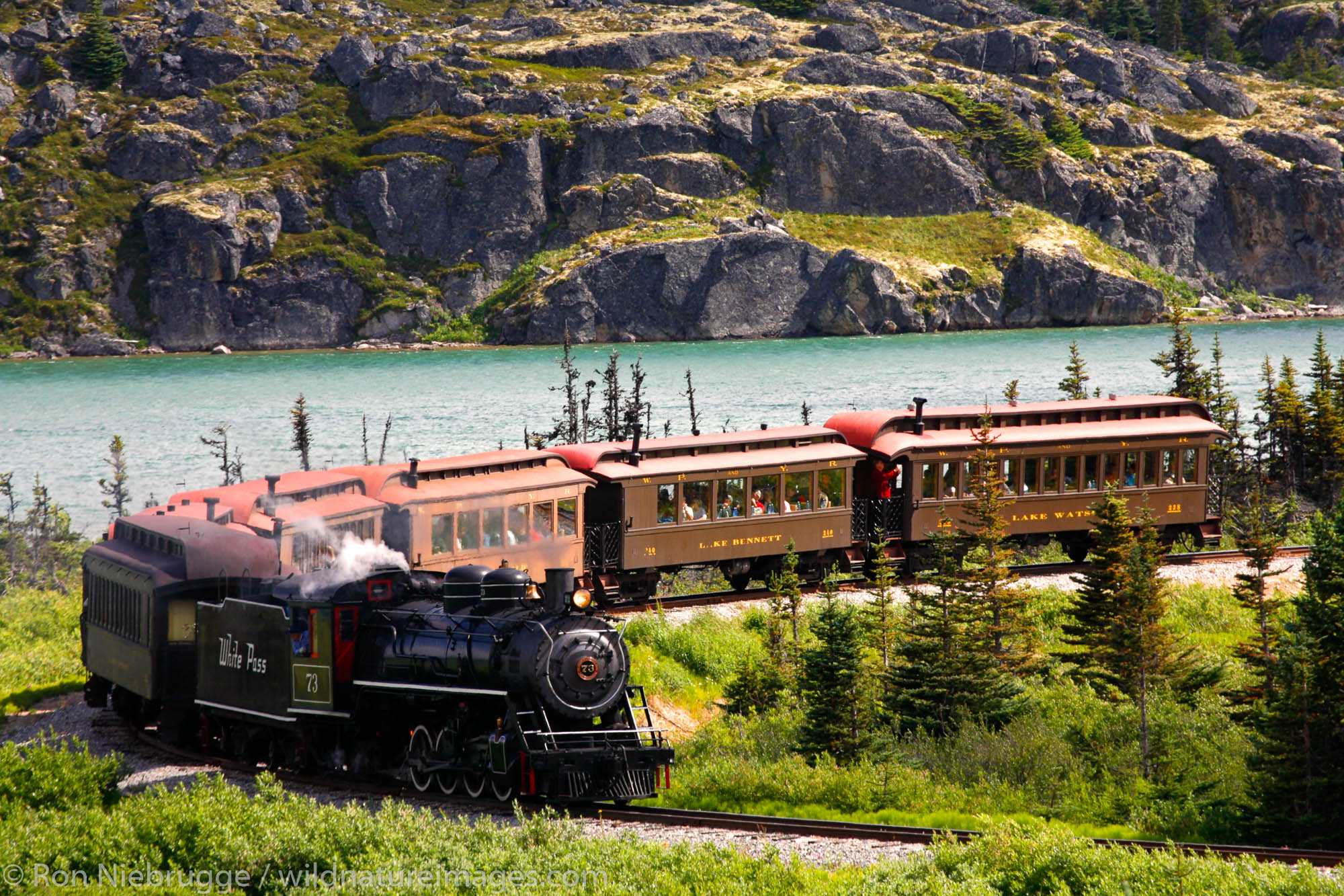 The historic steam engine number 73 of the White Pass and Yukon Route railroad passing through White Pass, British Columbia...