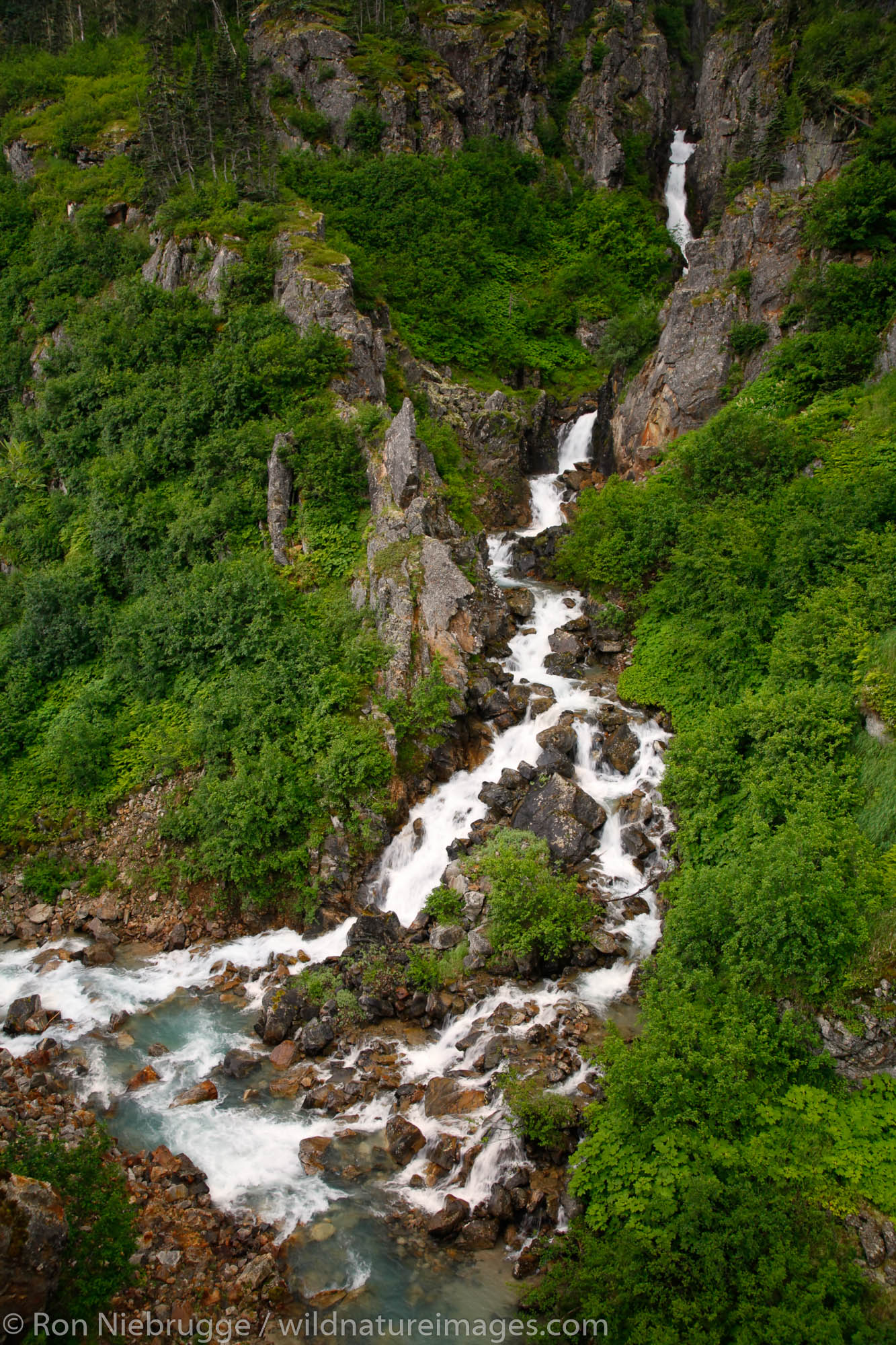 Waterfall in the Tongass National Forest, near Skagway, Alaska.