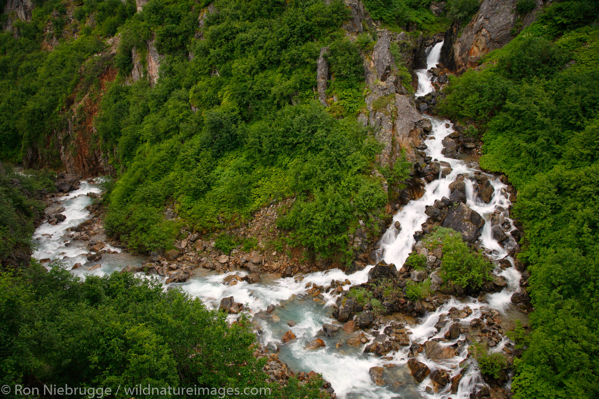 Waterfall in the Tongass National Forest, near Skagway, Alaska.