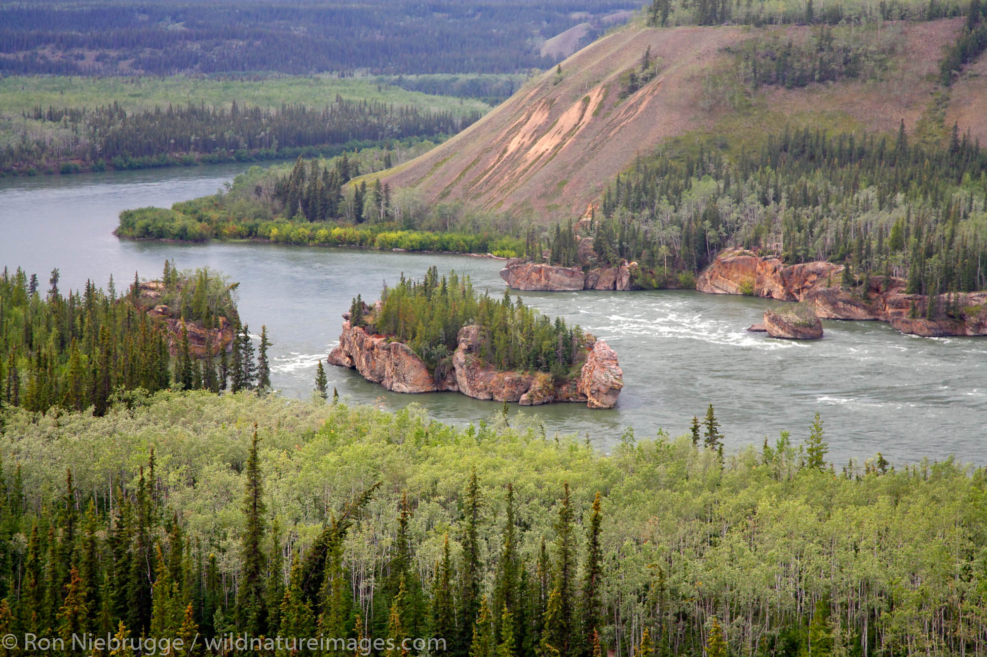 Yukon River Yukon Territory Canada Photos By Ron Niebrugge