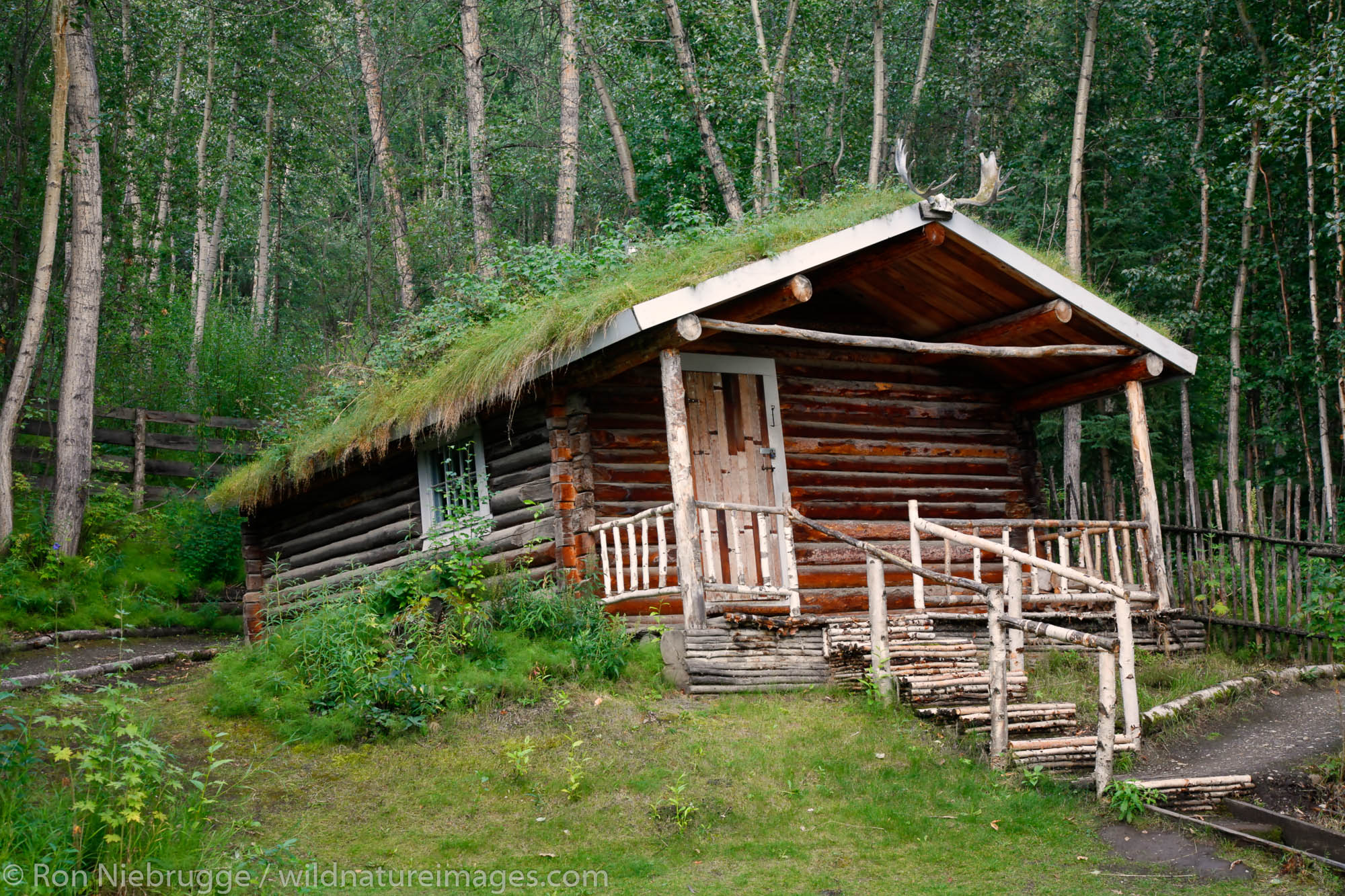 The Robert Service cabin in the historic gold rush town of Dawson City, Yukon Territory, Canada.