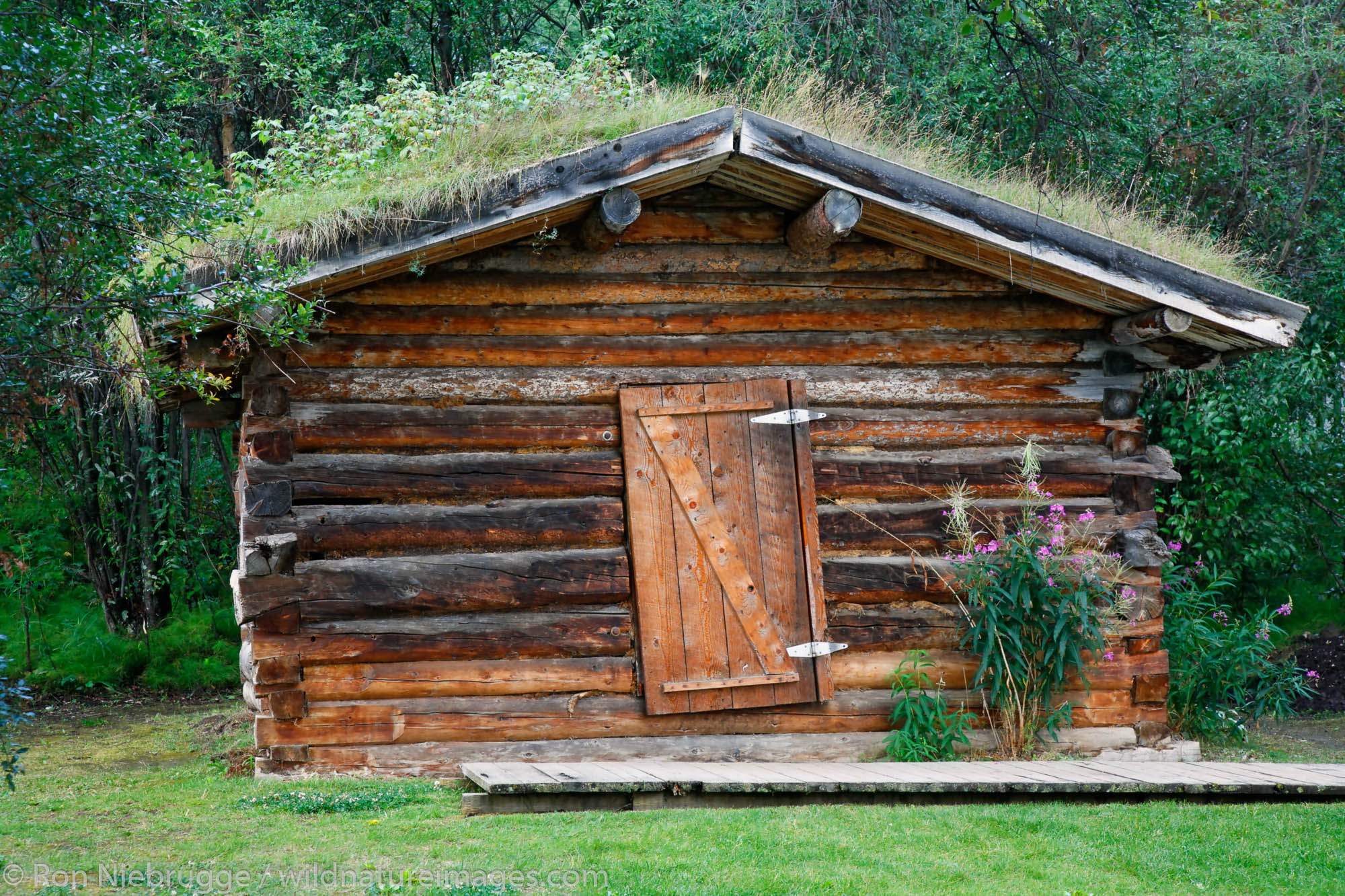 The Jack London cabin in the historic gold rush town of Dawson City, Yukon Territory, Canada.