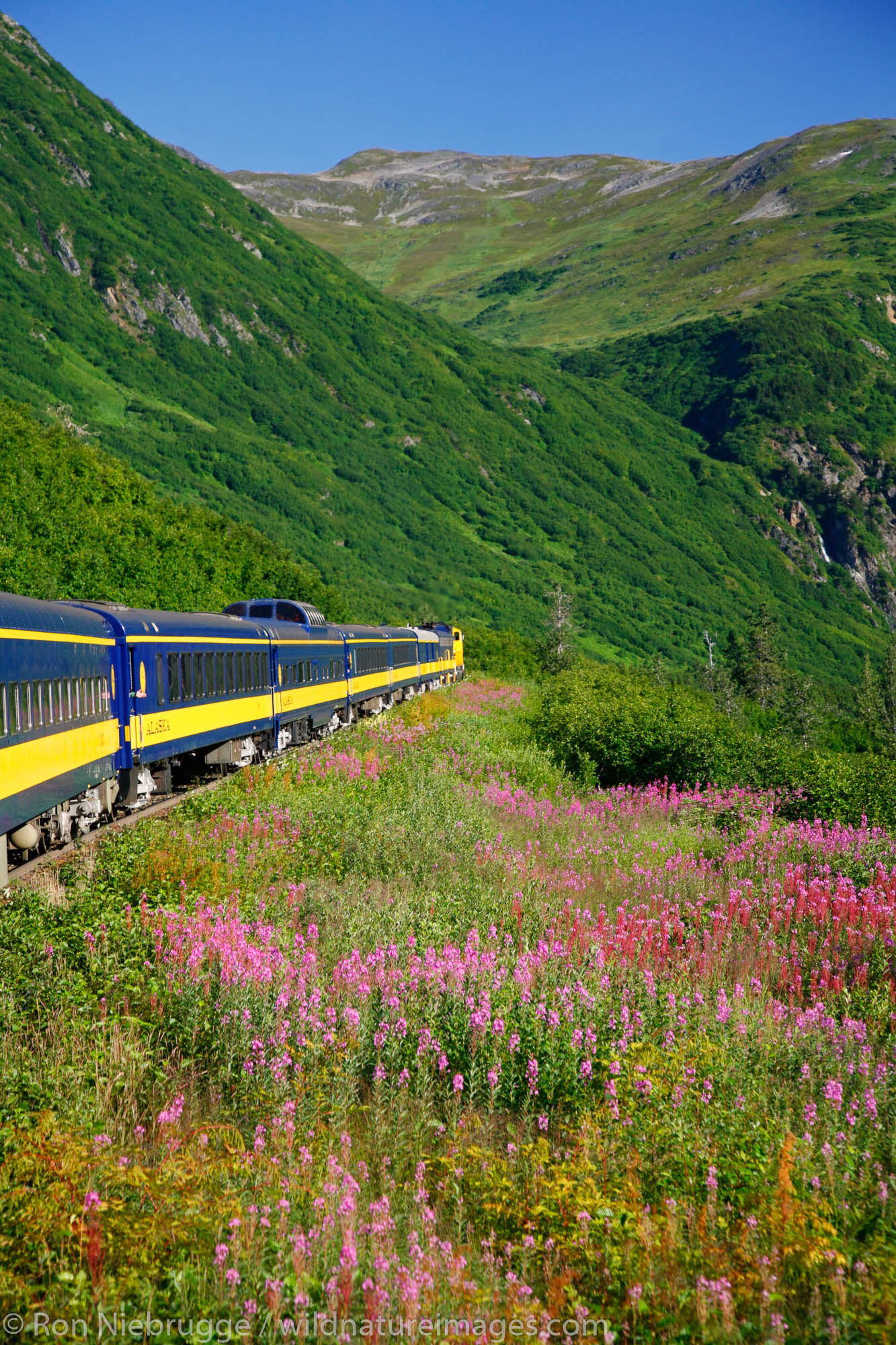 On the Alaska Railroad Coastal Train between Anchorage and Seward, Alaska.
