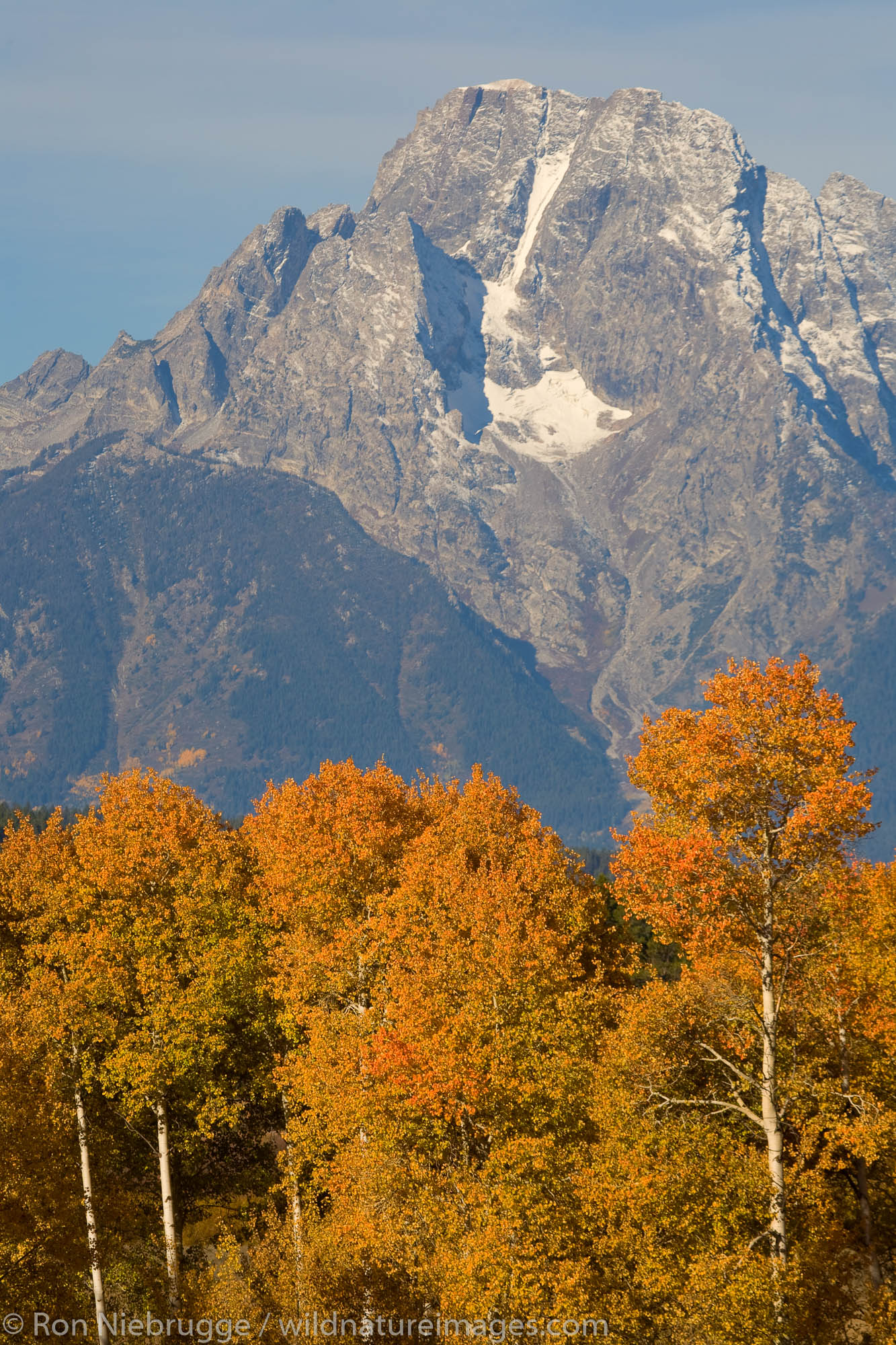 Mount Moran from Oxbow Bend, Grand Teton National Park, Wyoming.