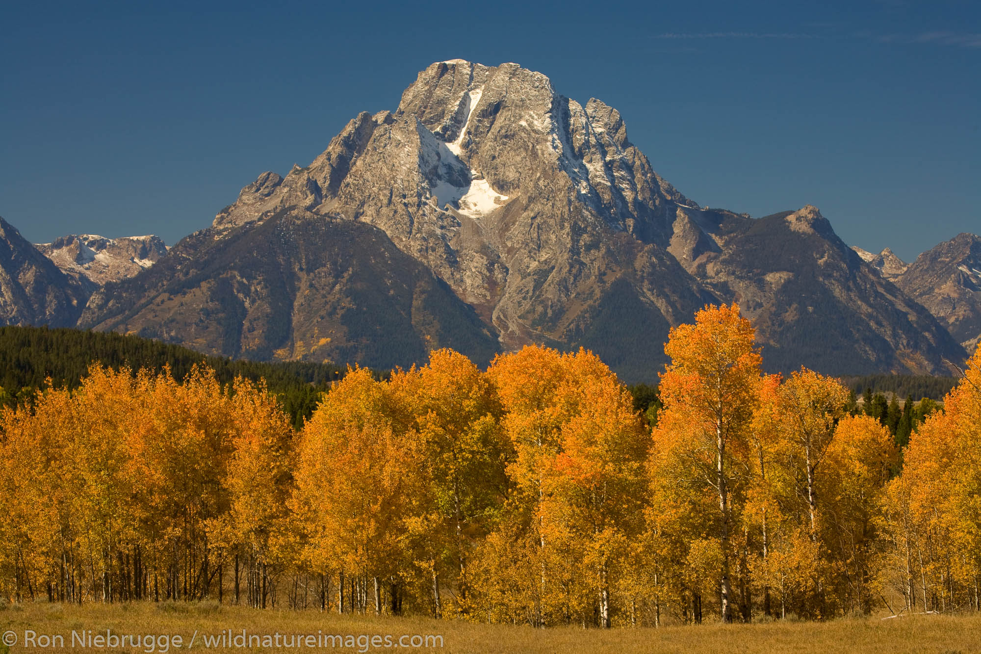 Mount Moran from Oxbow Bend, Grand Teton National Park, Wyoming.