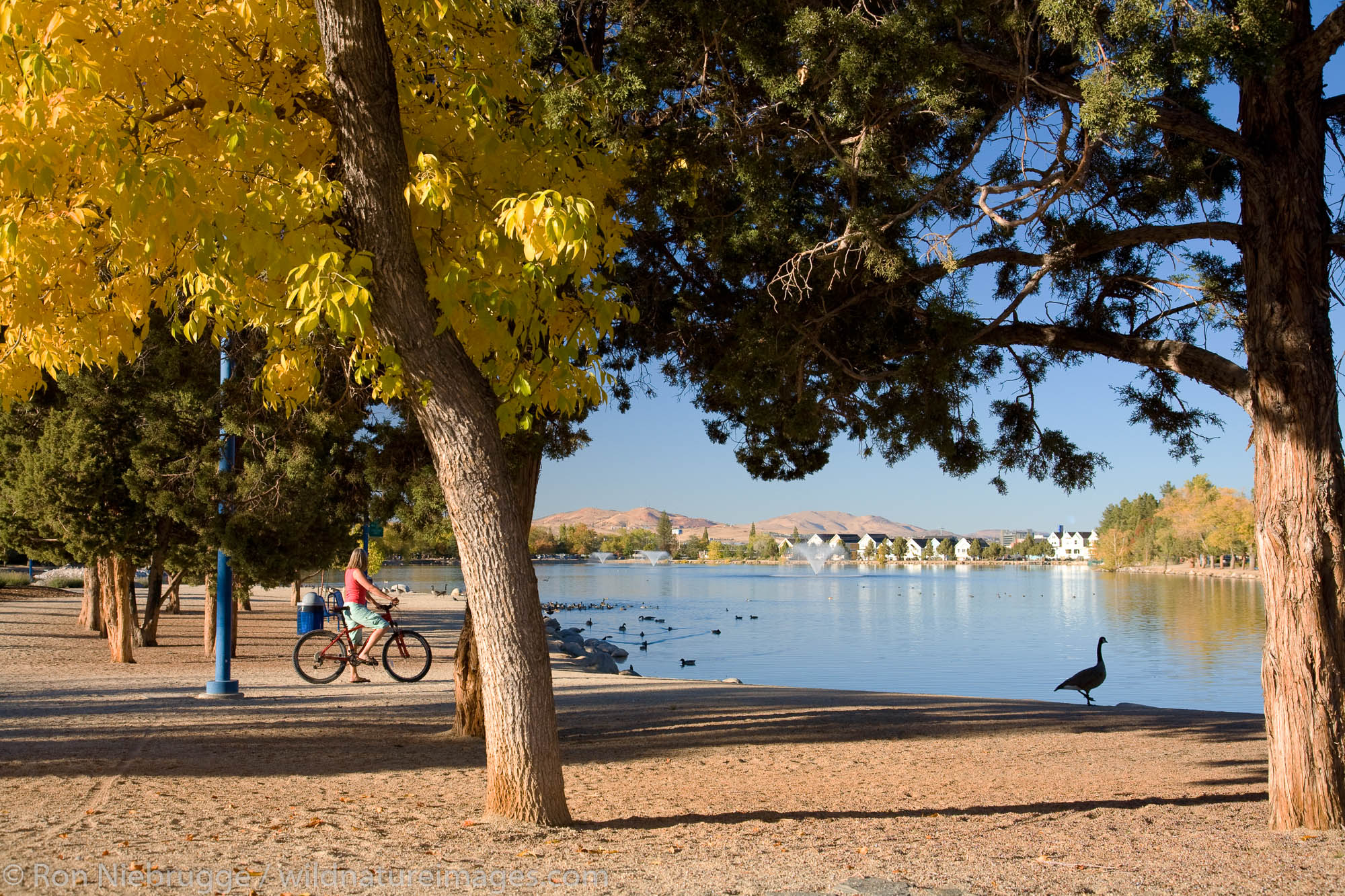 Biking around Virginia Lake Park, Reno, Nevada.