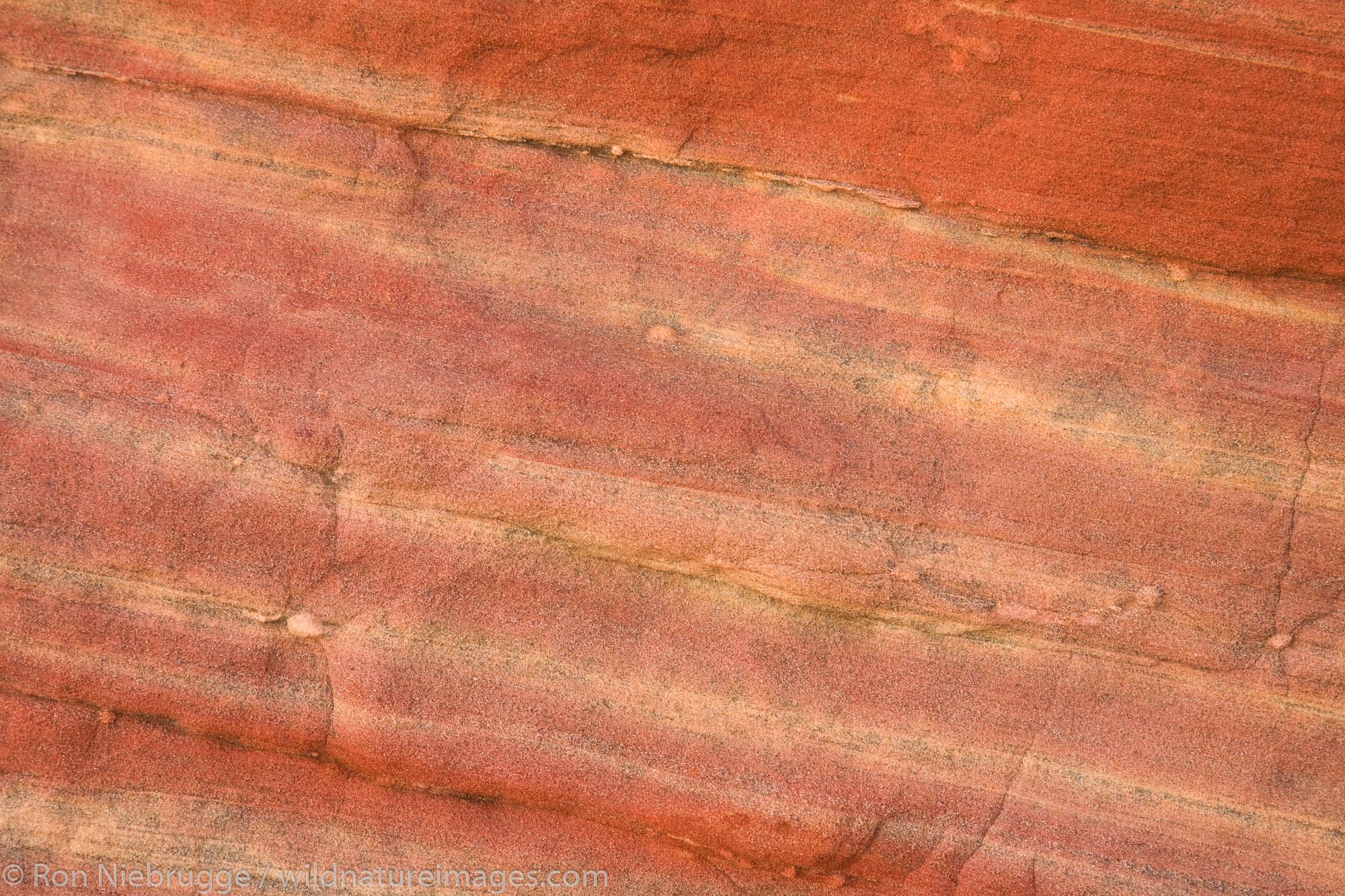 Rock close-up, Fire Canyon, Valley of Fire State Park, Nevada