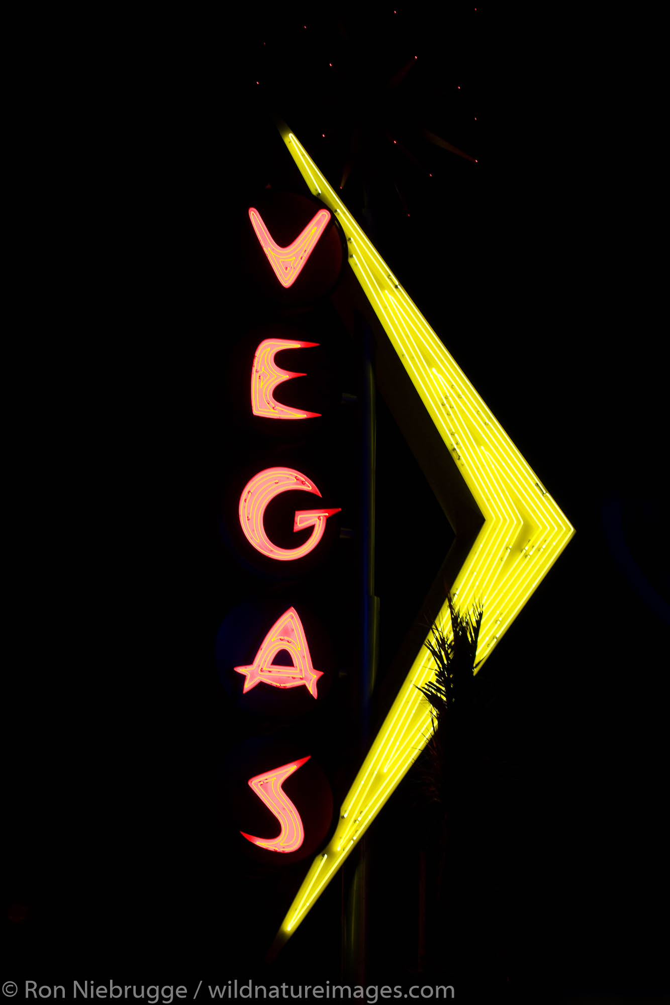 Neon signs, Downtown Las Vegas. Photos by Ron Niebrugge