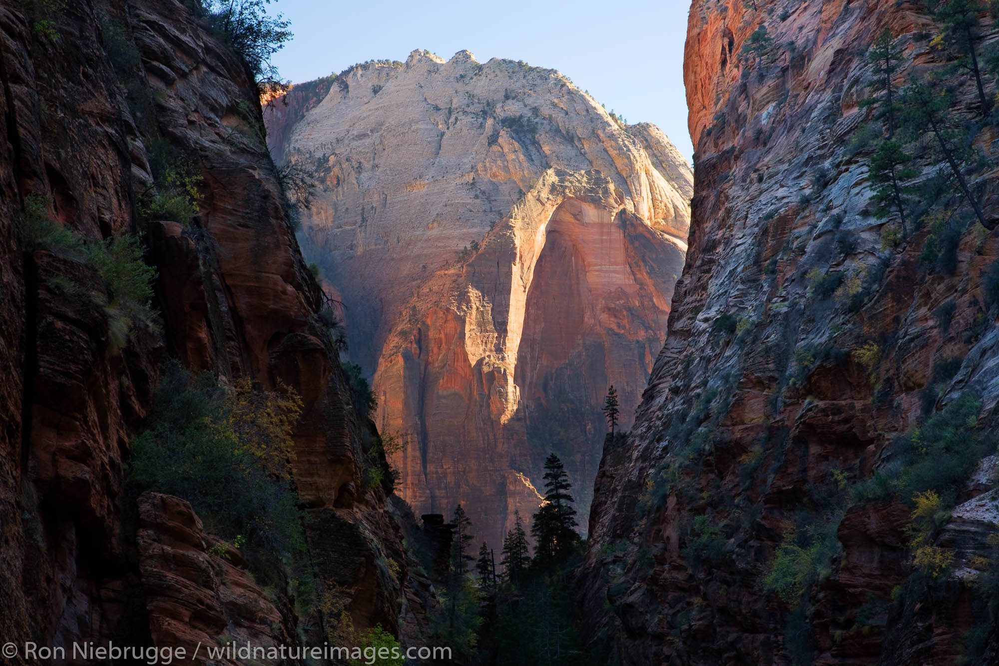 The Great White Throne from the Angels Landing trail, Zion National Park, Utah.