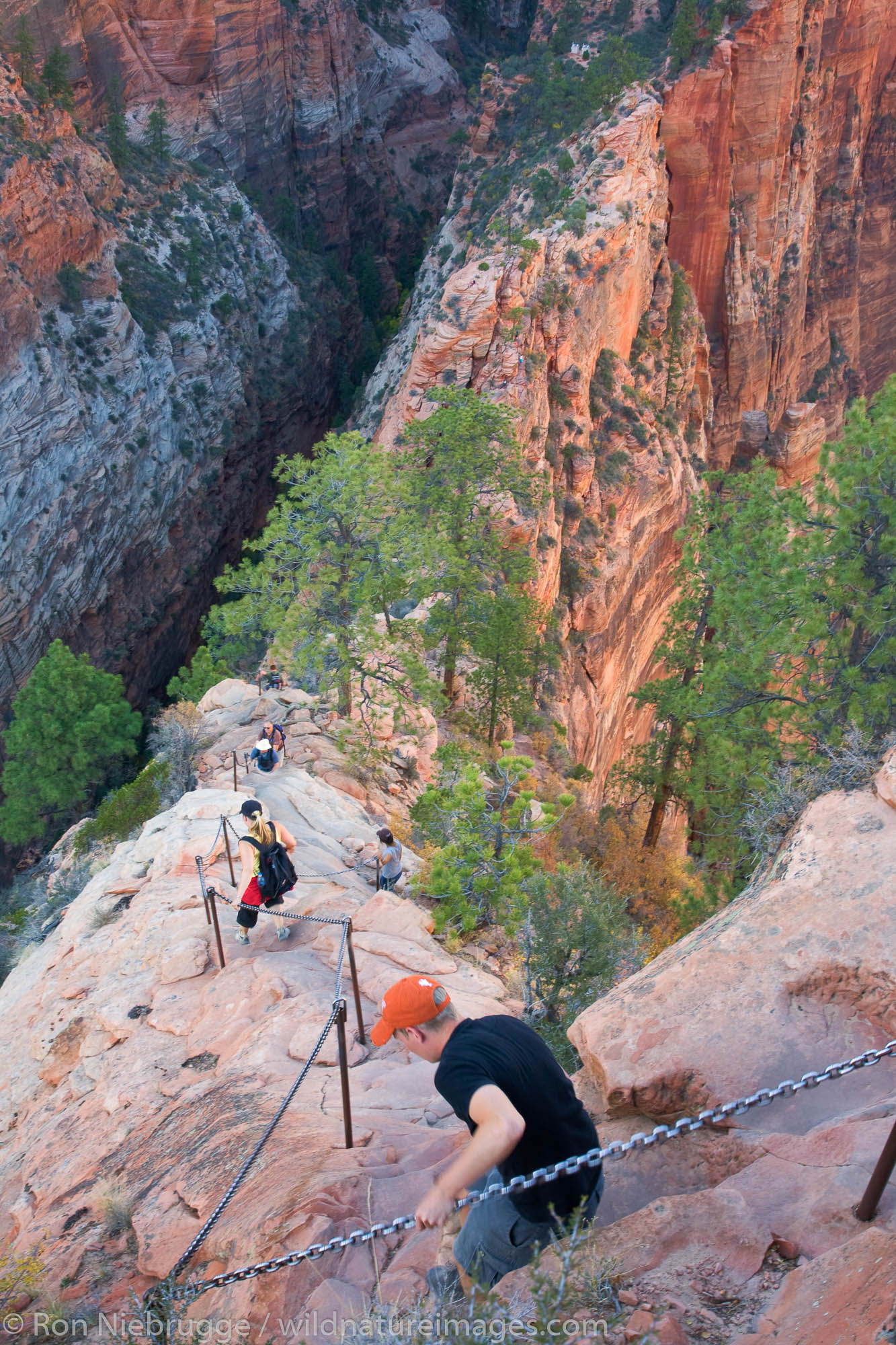 Angels Landing trail, Zion National Park, Utah.