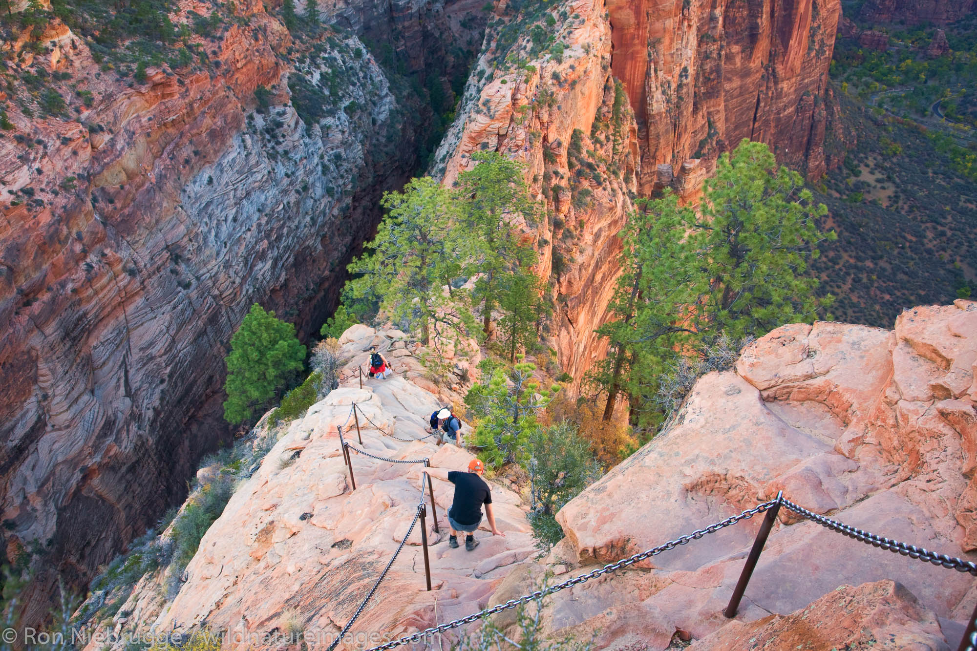 Angels Landing trail, Zion National Park, Utah.