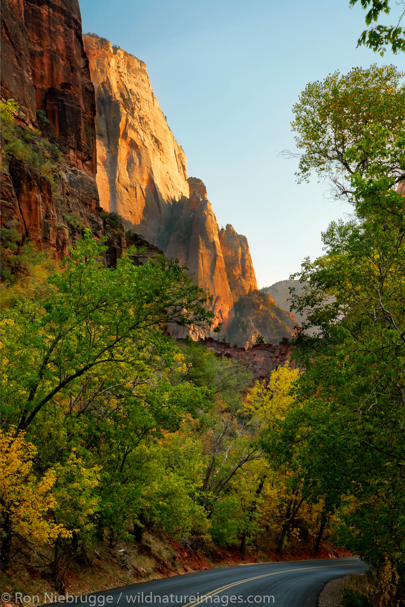The road in Zion Canyon, Zion National Park, Utah.