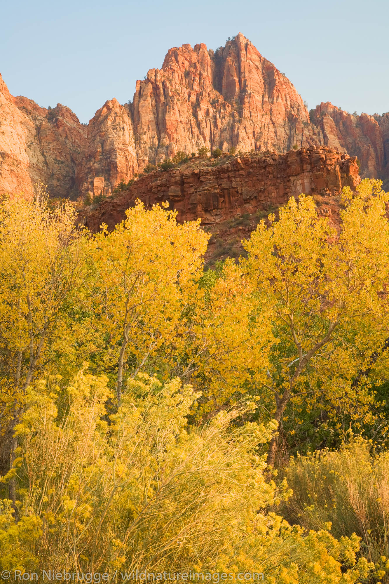 The Watchman, Zion National Park, Utah.