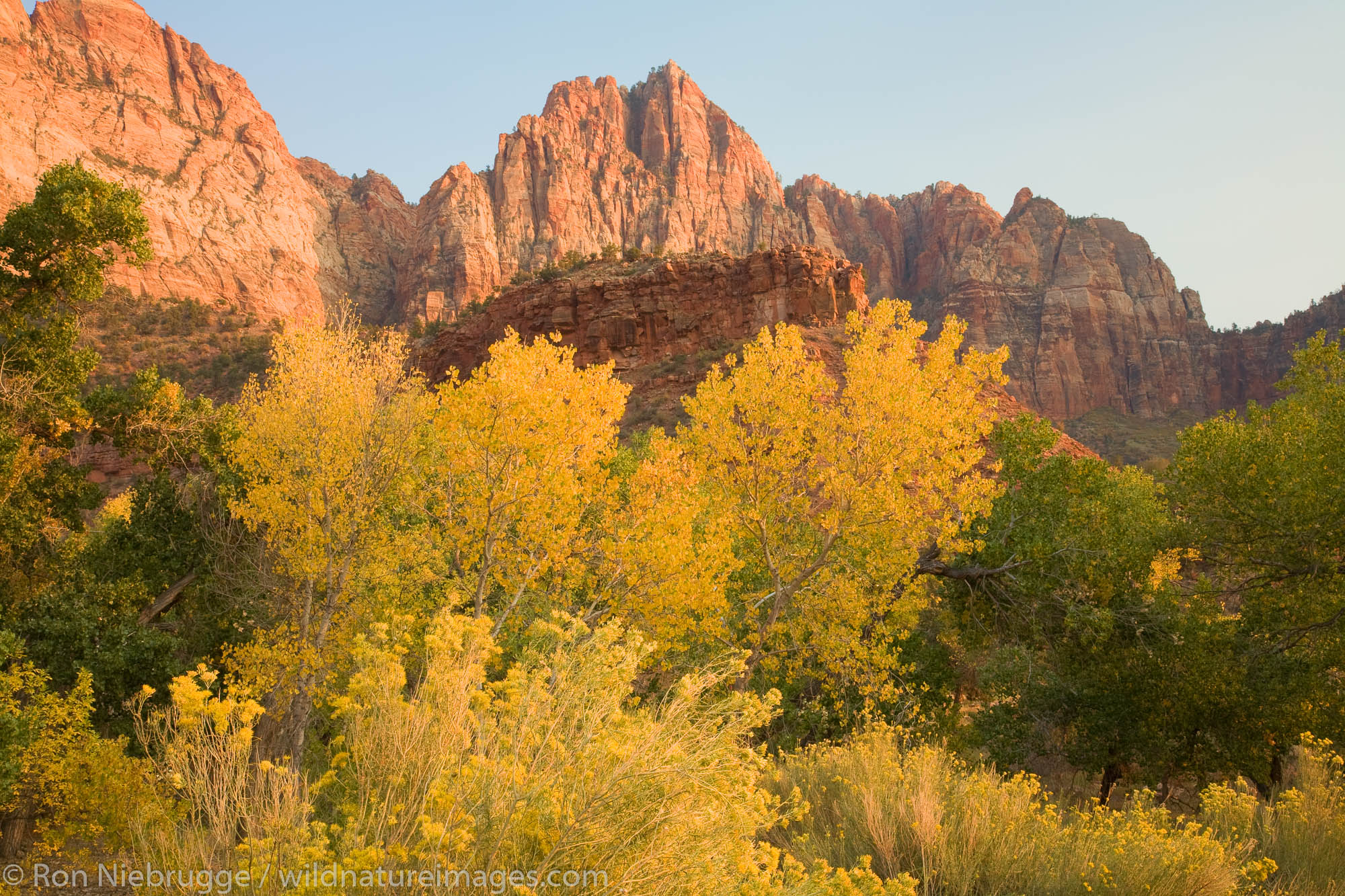 The Watchman, Zion National Park, Utah.