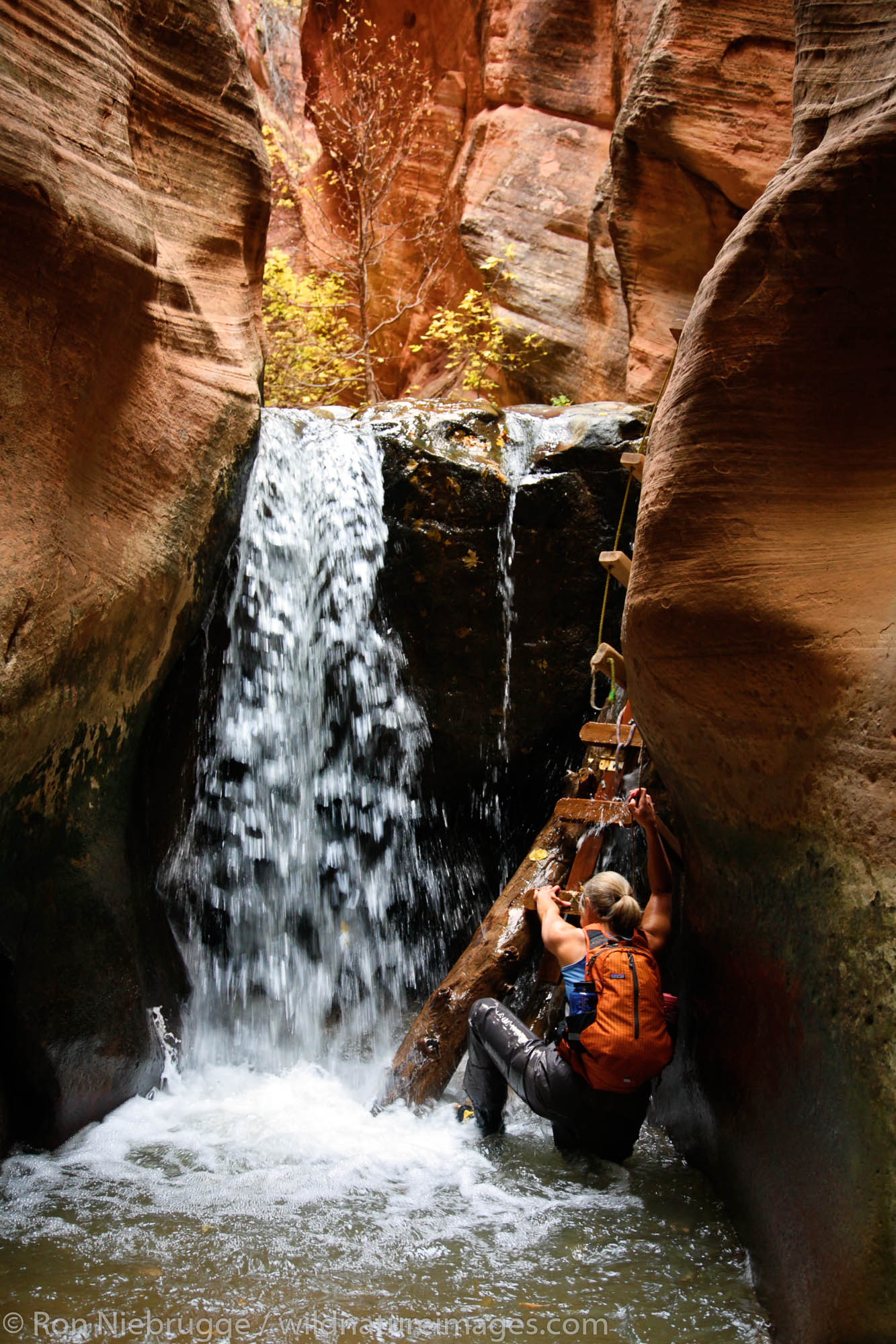 A hiker exploring a canyon, Zion National Park, Utah.  (model released)