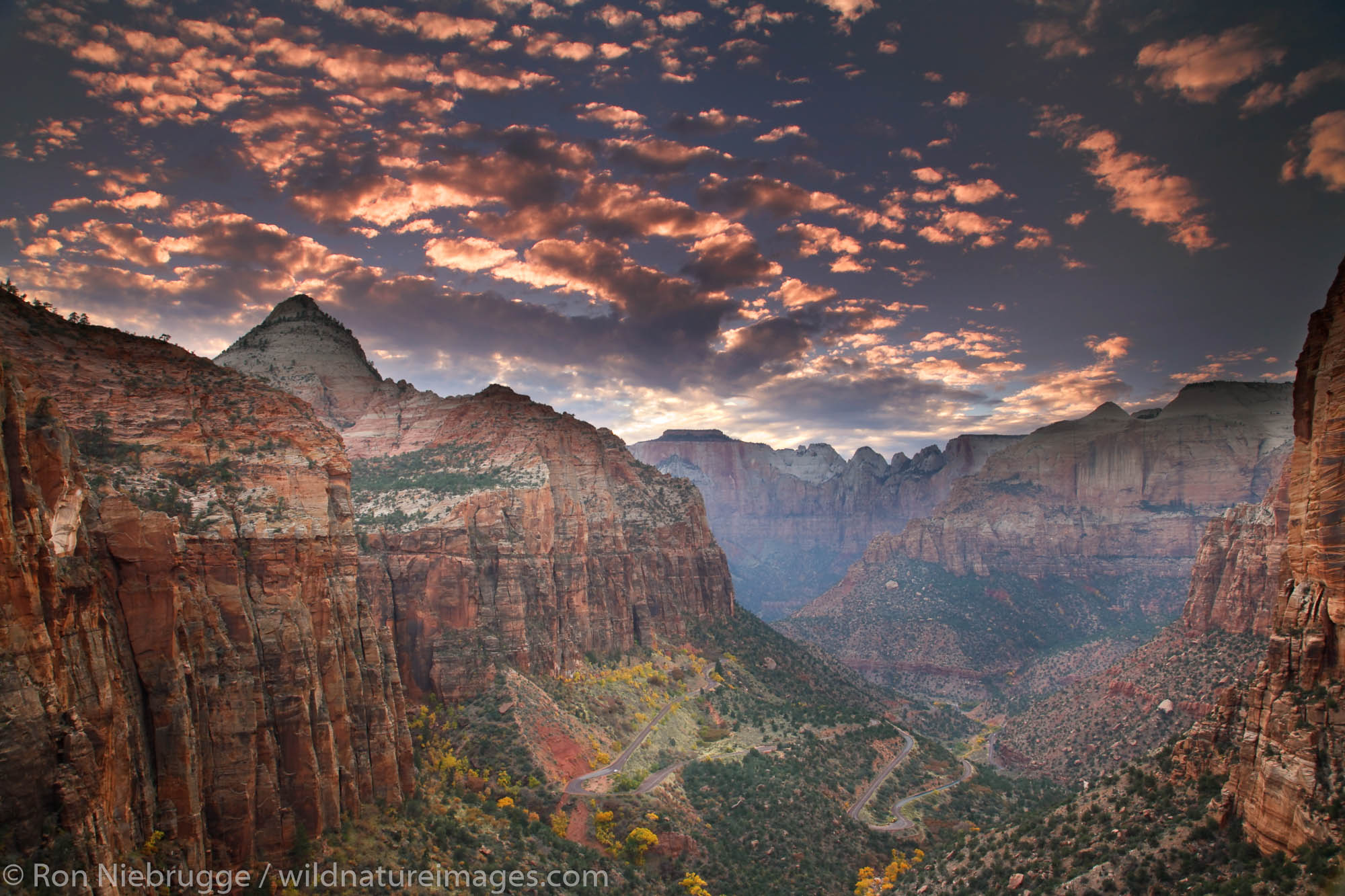 Canyon Overlook, Zion National Park, Utah.
