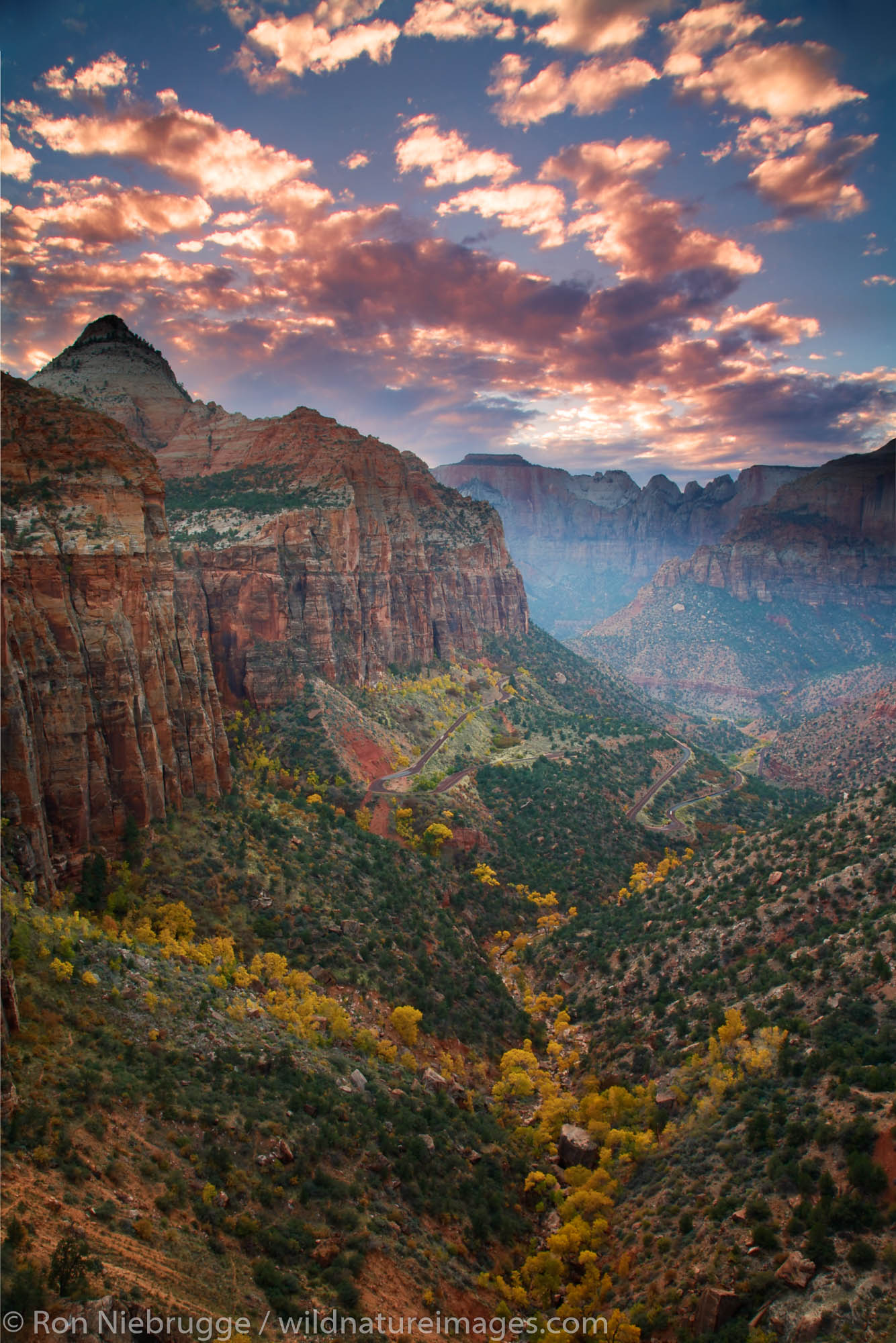 Canyon Overlook, Zion National Park, Utah.