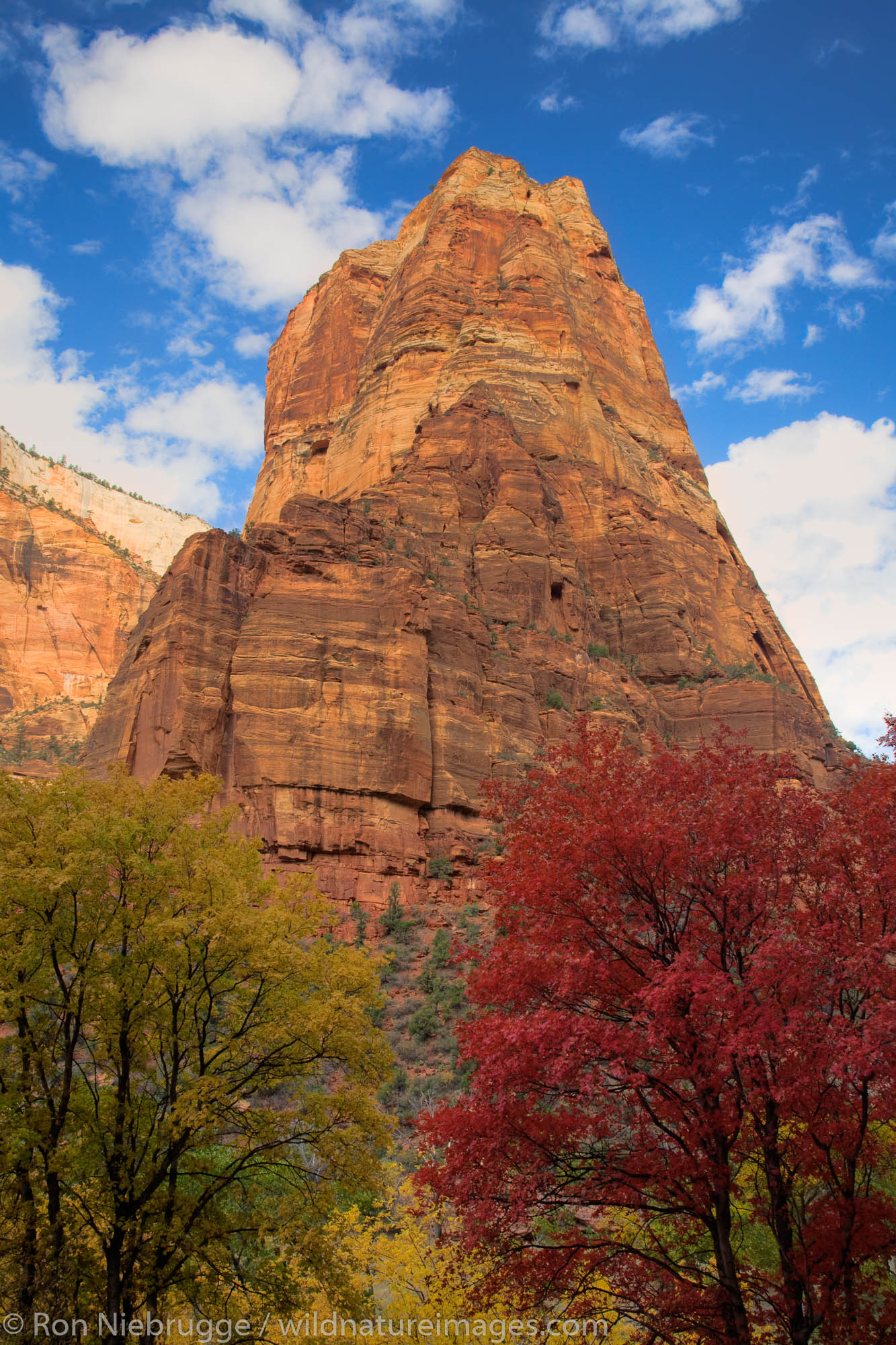 Angel's Landing, Zion National Park, Utah.