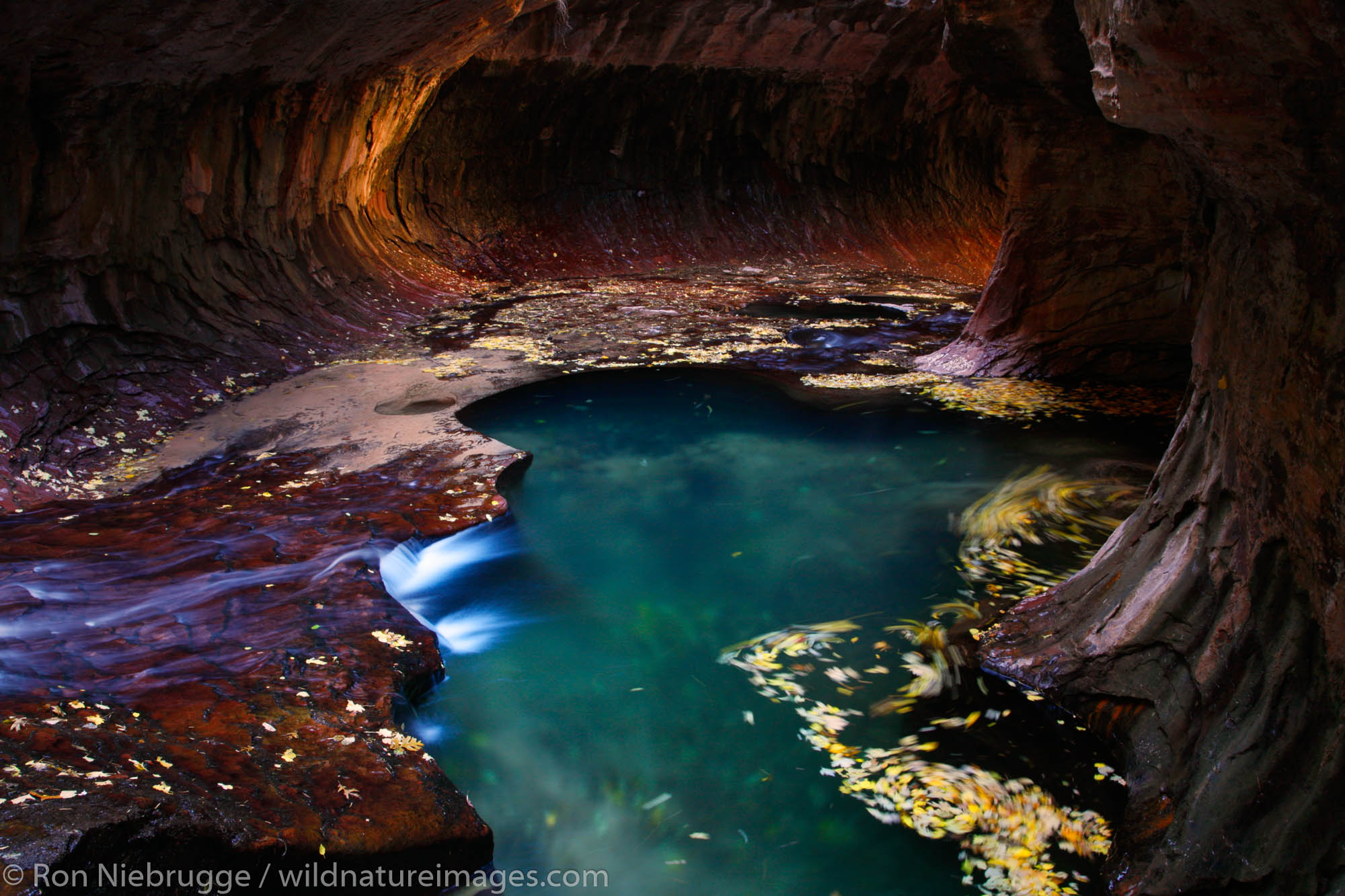 The Subway portion of Left Fork of North Creek, Zion National Park, Utah.