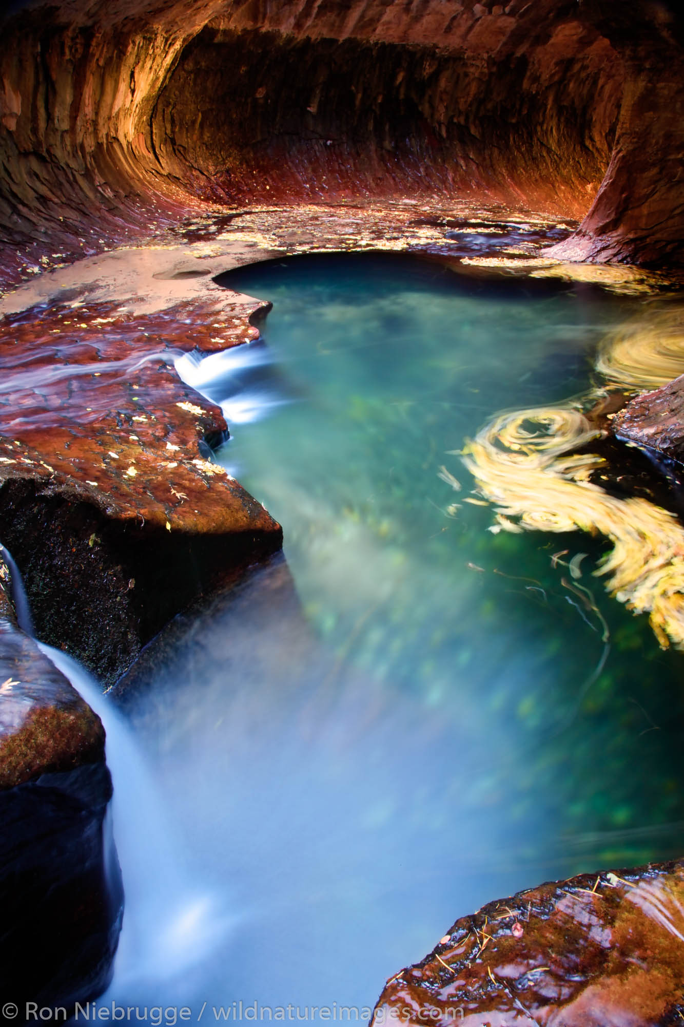 The Subway portion of Left Fork of North Creek, Zion National Park, Utah.
