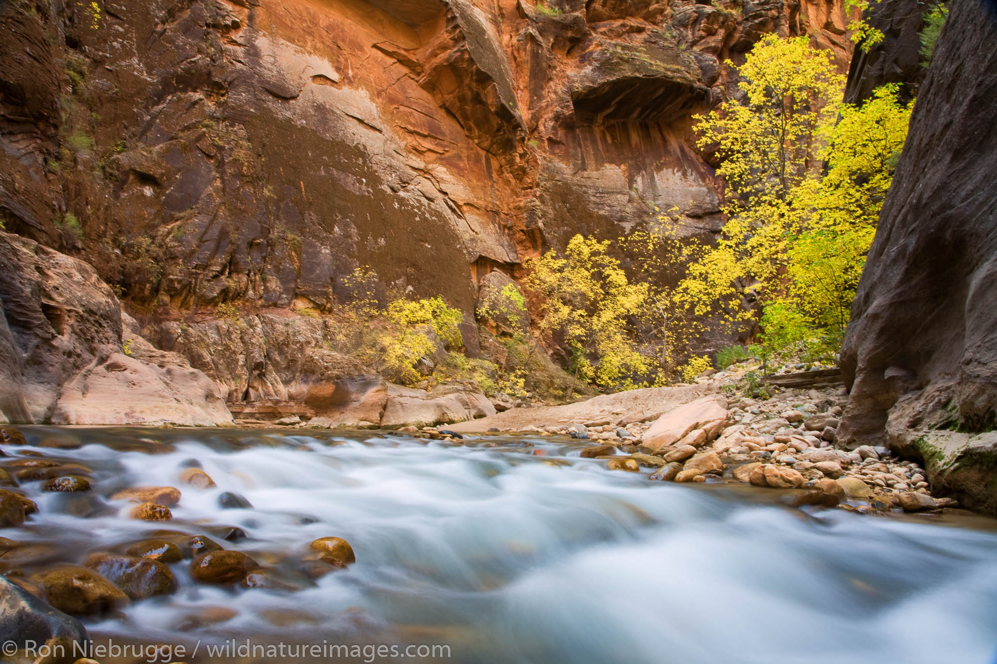 The Virgin River in the Zion Narrows, Zion National Park, Utah.