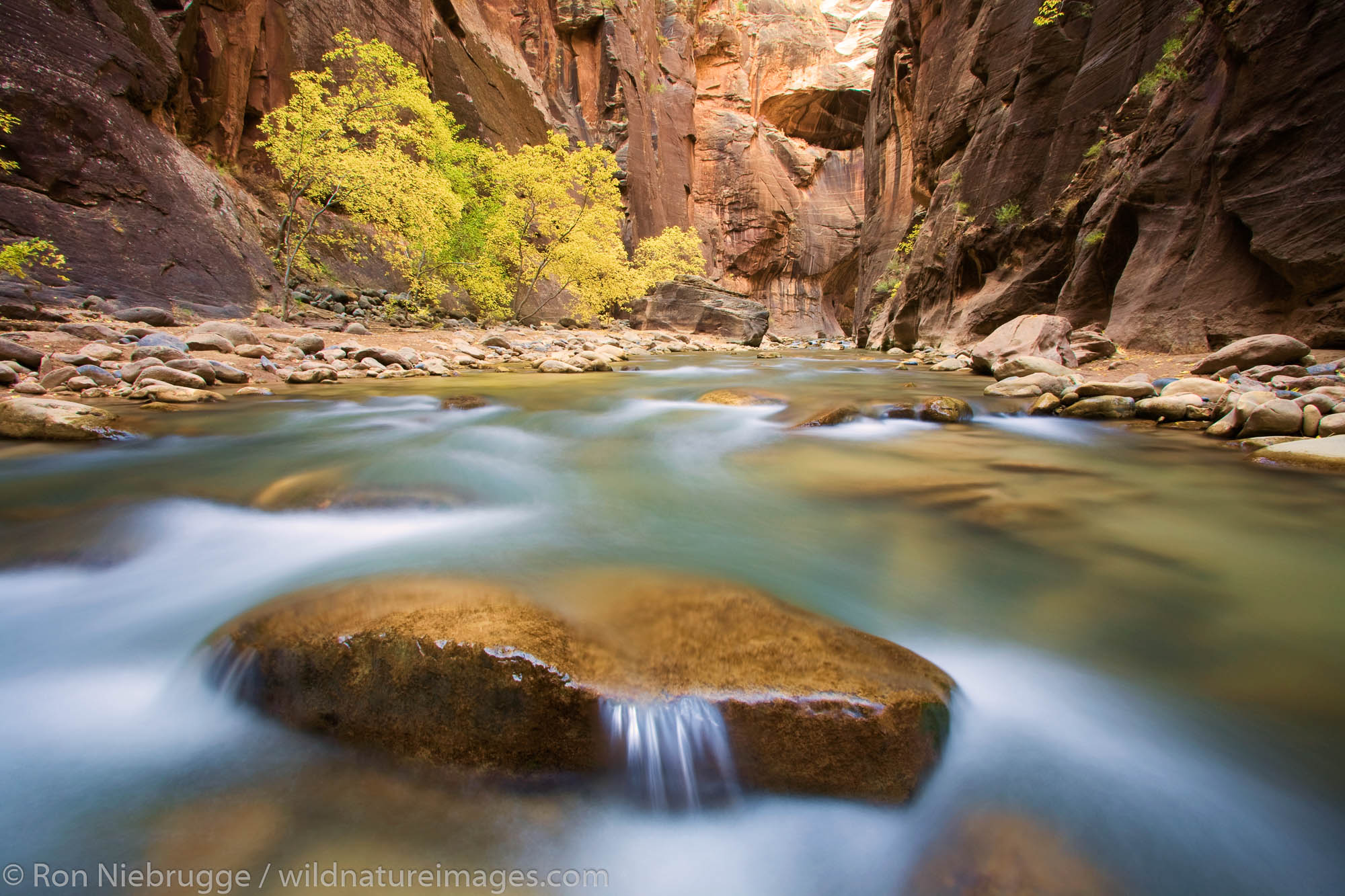 The Virgin River in the Zion Narrows, Zion National Park, Utah.