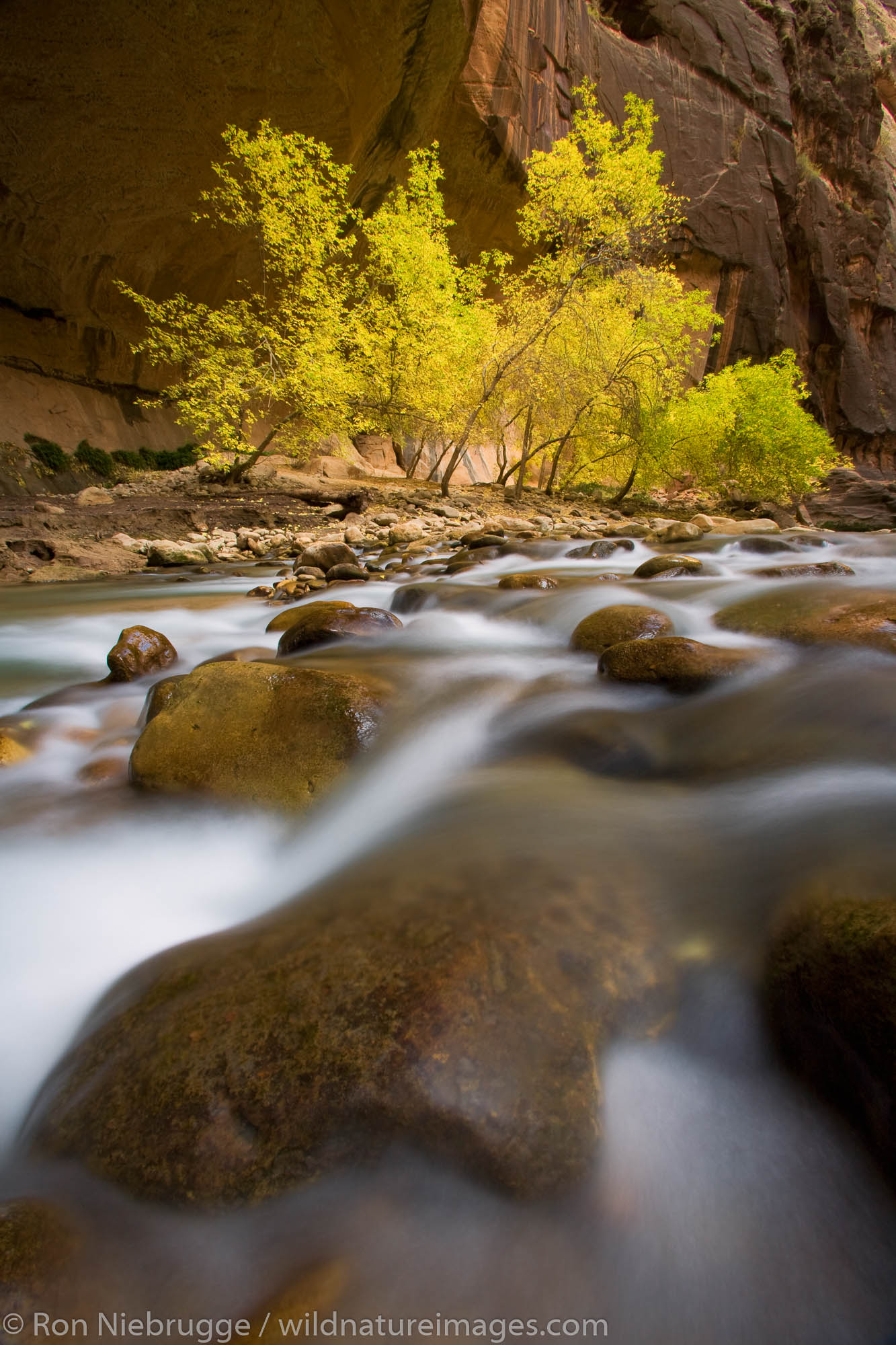 The Virgin River in the Zion Narrows, Zion National Park, Utah.