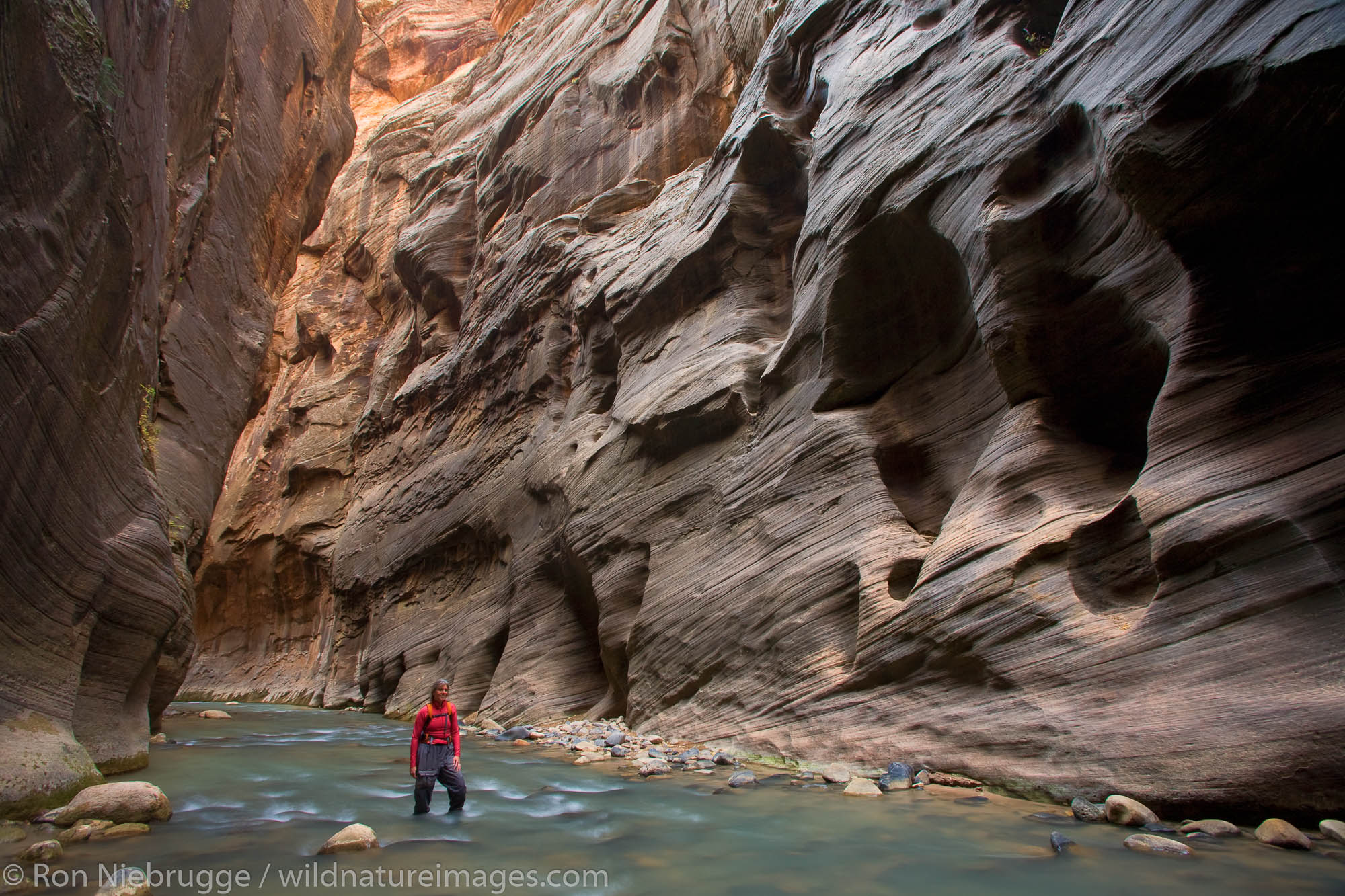 A hiker and the Virgin River in the Zion Narrows, Zion National Park, Utah.  (model released)