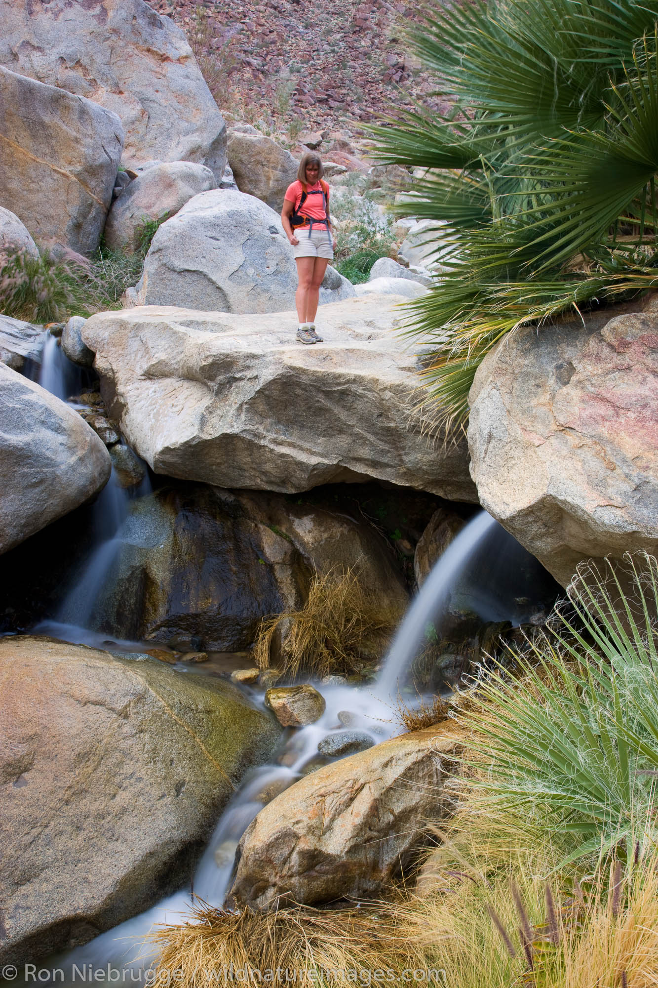 A hiker enjoying a waterfall at the First Palm Oasis, Borrego Palm Canyon, Anza-Borrego Desert State Park, California.  (model...