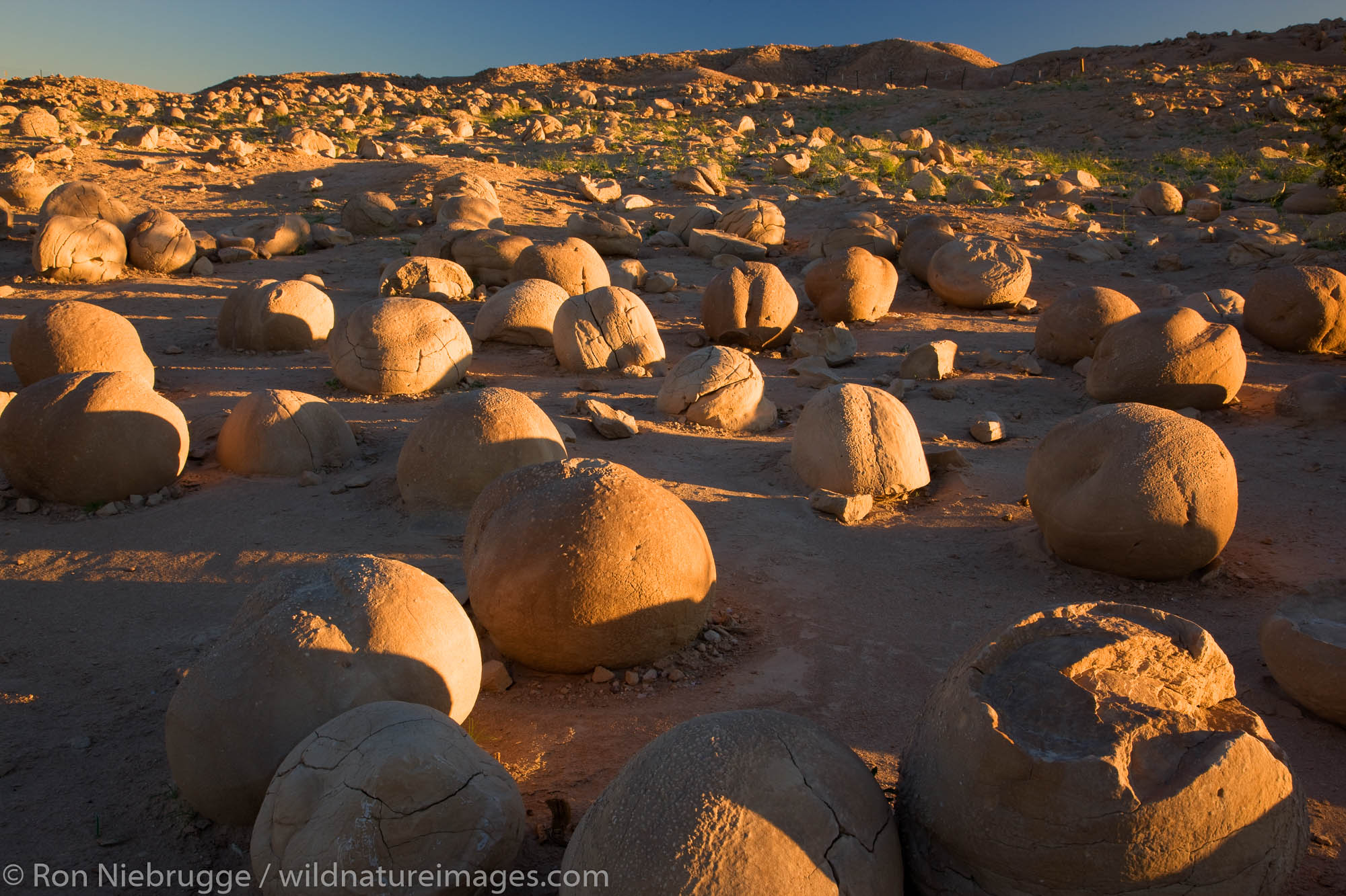 The Pumpkin Patch, Anza-Borrego Desert State Park, California.