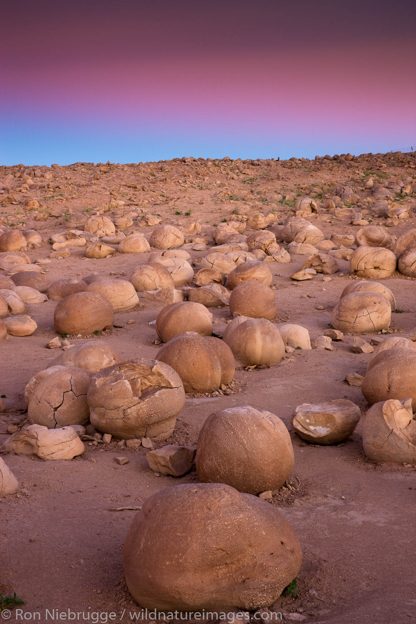 The Pumpkin Patch, Anza-Borrego Desert State Park, California.